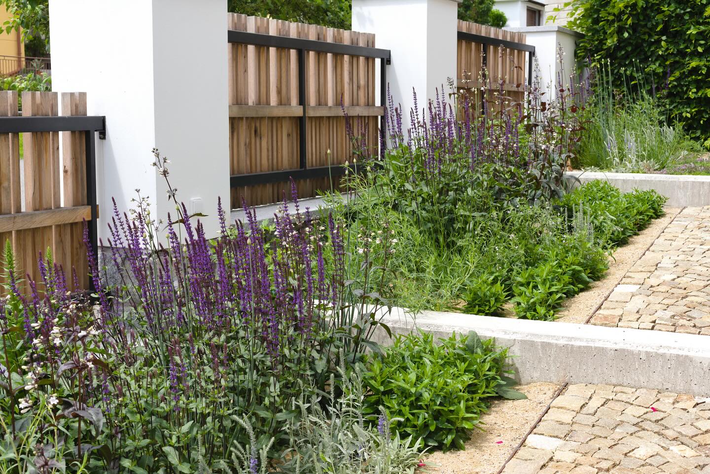 Zahrady mohou vznikat i postupně, v tempu, které určují možnosti jejich majitelů. Na prvních snímcích jsou části, které jsme sázeli v listopadu a na posledních nové záhony z minulého týdne.
Záhonům předcházely stavební úpravy domu, stavba bazénu, zázemí se skleníkem a kompletní přestavba uličního oplocení.
Ještě zbývá značná část práce, stavební záměry nejsou vyčerpány, ale vhodně založené záhony dokáží rychle “hnědou pláň” obalit květy a vrátit jí ráz zahrady.
Předzahrádka na plném slunci je vysazena do písku a je barevně laděná do odstínů stříbrné, bronzové, fialové a mnohé barvy. V soukromé části pak výběr padl na romantický pugét venkovských zahrad.
Do ulice jsme nyní vysadili kombinaci modro-bílo-žlutých květů.
Těším se, až záhony “vyzrají”. 💚