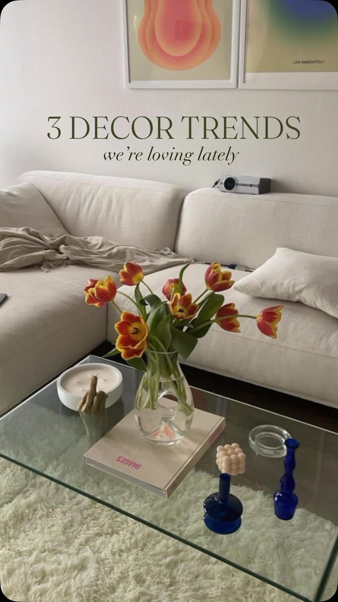 Which of these could you see bringing into your apt? Let us know in the comments!