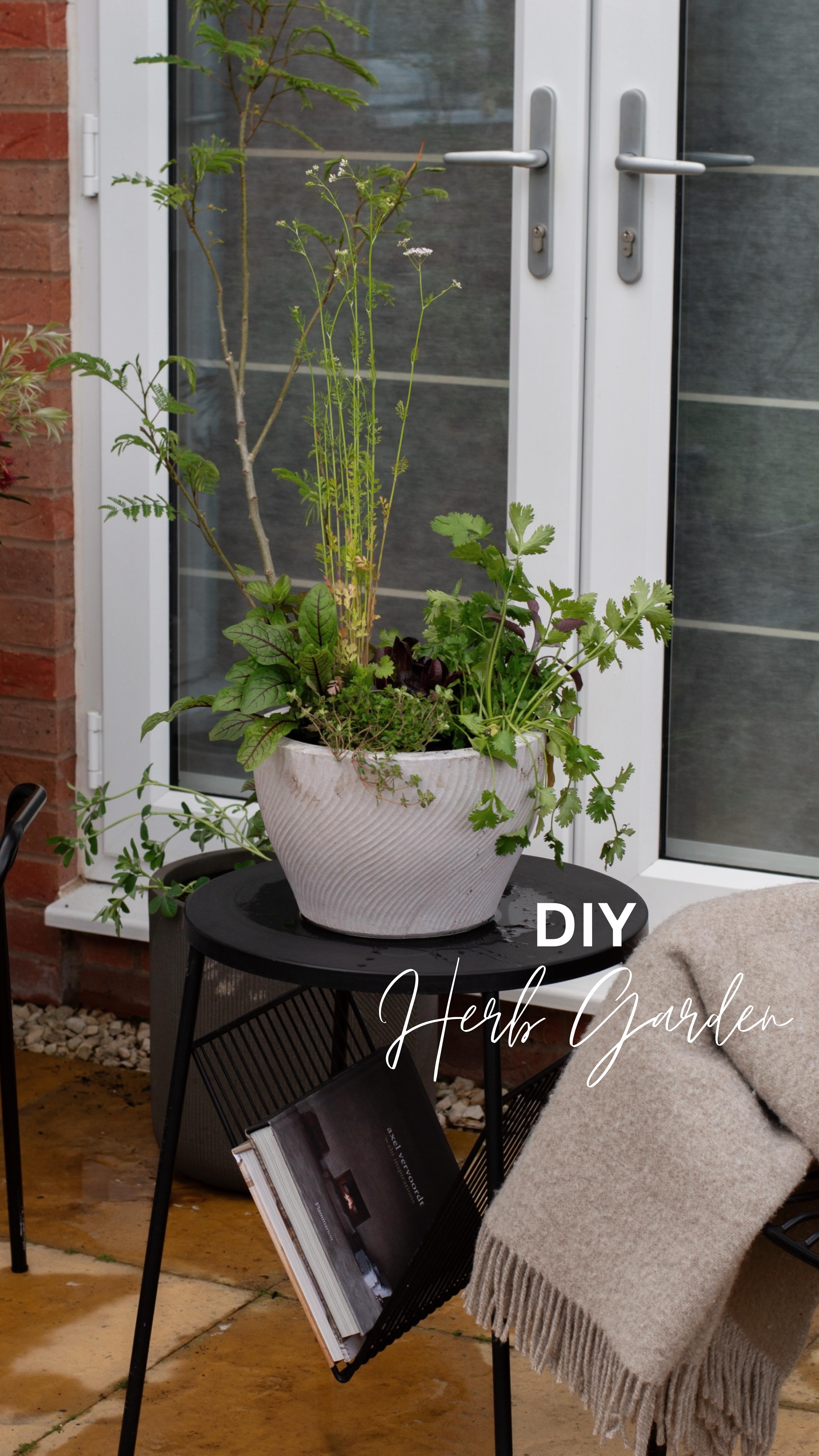 𝖢𝗋𝖾𝖺𝗍𝖾 𝖺 𝗁𝖾𝗋𝖻 𝗀𝖺𝗋𝖽𝖾𝗇 𝗐𝗂𝗍𝗁 𝗆𝖾 🪴
These are the herbs we included to add colour, structure & lots of choice when it comes to cooking and summer spritz season 🍹 Mint Berries and Cream is going to be gorgeous!
H E R B S :
~ Dragon Tongue Rocket
~ Purple Sage
~ Coriander
~ Fenugreek
~ Mint Basil
~ Mint Berries & Cream
~ Thyme Creeping Lemon
~ Watercress
~ Parsley Curled
~ Chicory
~ Sorrel Bloody Dock
~ Oregano
Also added Red Gem Lettuces
The aroma is gorgeous sitting out sipping coffee in the morning🌿
Happy Friday!
Love,
Nicola & Vicki xx
#gardenlove #herbgarden #diygarden #gardendecor
#warmminimalism #japandistyle #minimaldecor #japandiinterior #scandihome #sazy #interiorideas #wabisabi #slowliving #parisianstyle #beigeaesthetic #interiorandhome #softminimalism #cozyhome #nordichome #nordicminimalism #interior123 #gardeninspiration #neutraldecor #interior4all #interior4you #aesthetic #hyggehome #hygge