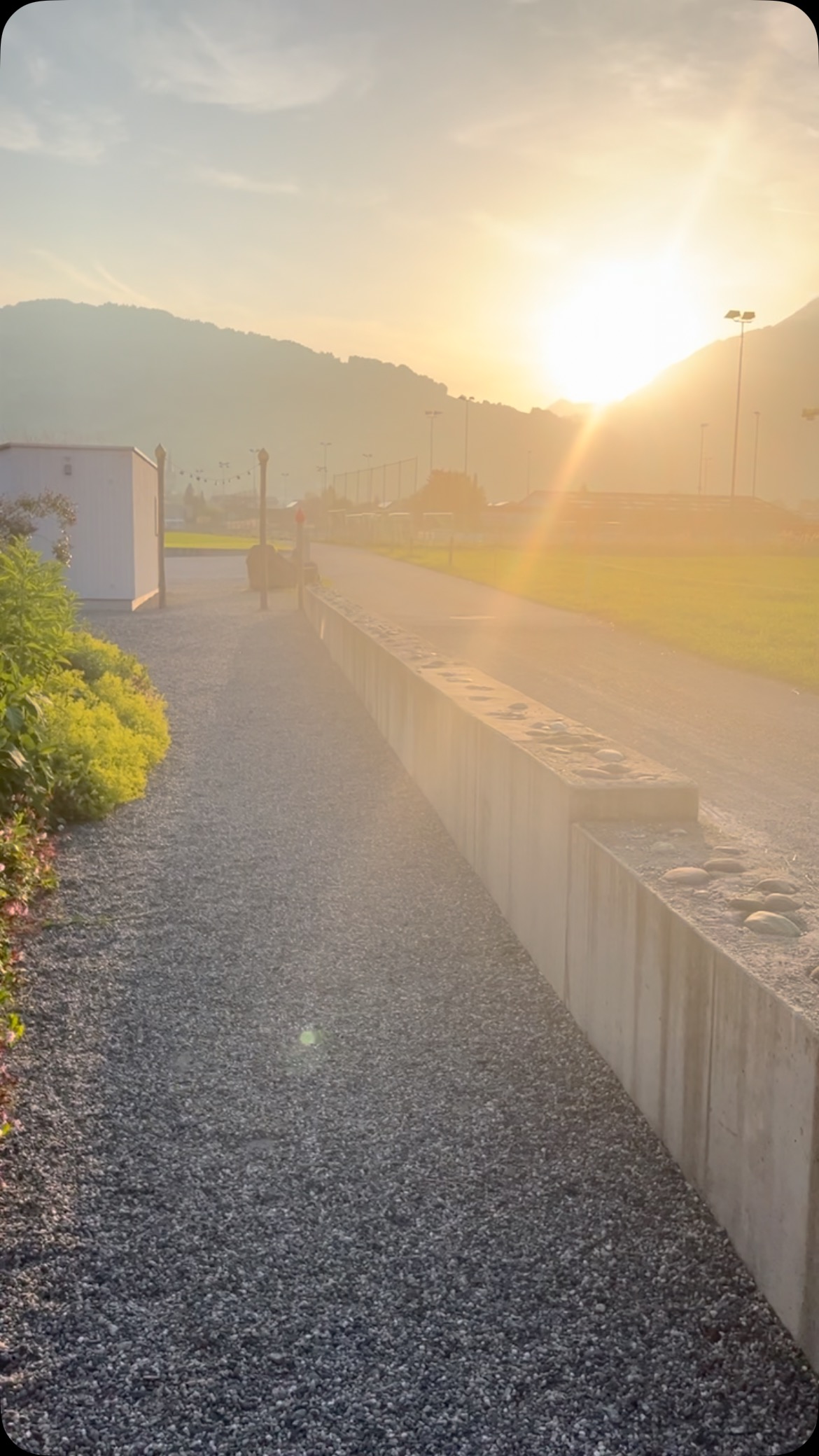 Goldene Abendstunde im Storchennest.