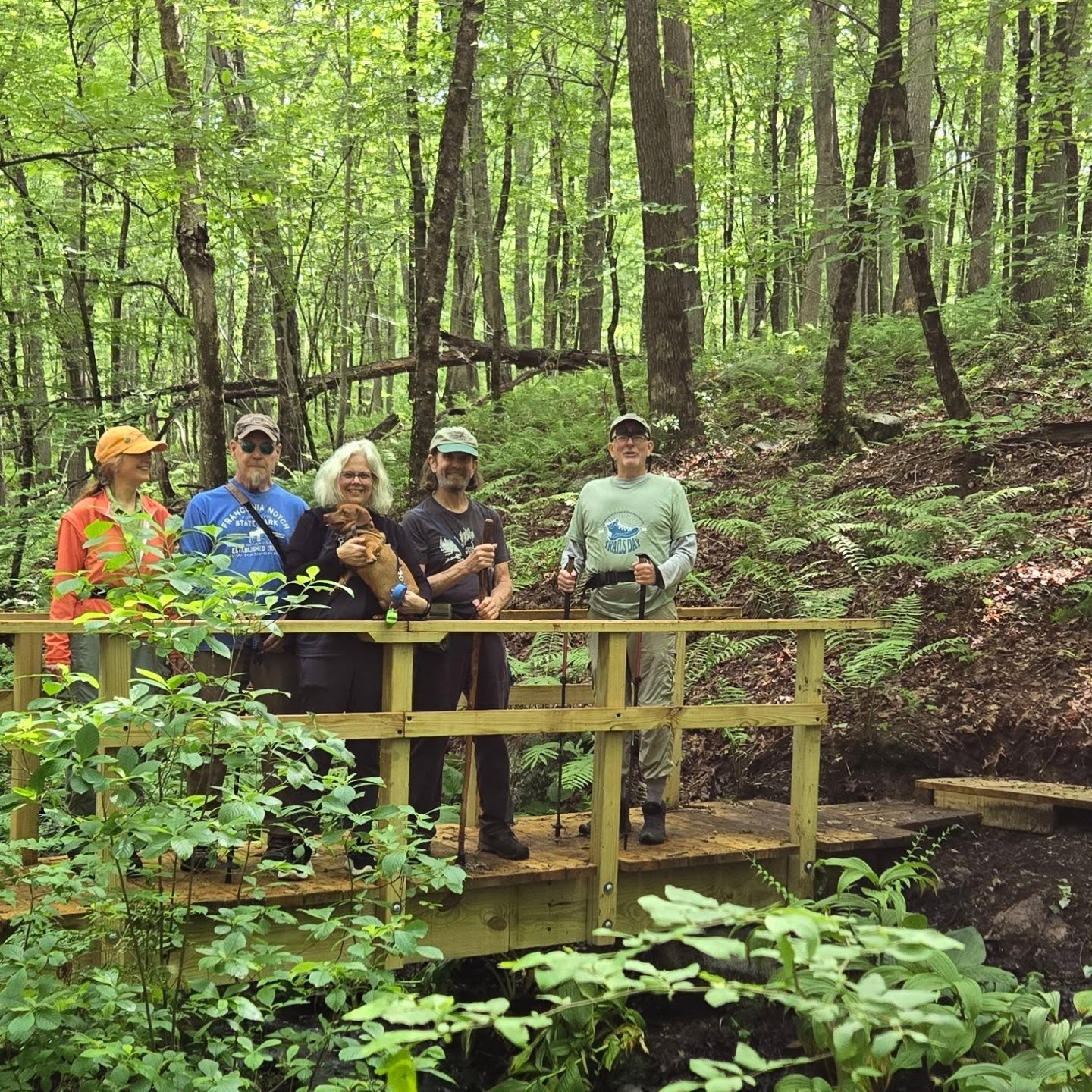 Today's CT trails day hikers on the wonderful new footbridge East Haddam Land Trust volunteers recently completed at the Mangano-Mazzella Farm Preserve (aka Honey Hill Farm) in East Haddam. #easthaddamlandtrust #cttrailsday2025 #mangano-mazzellafarmpreserve #takeahike