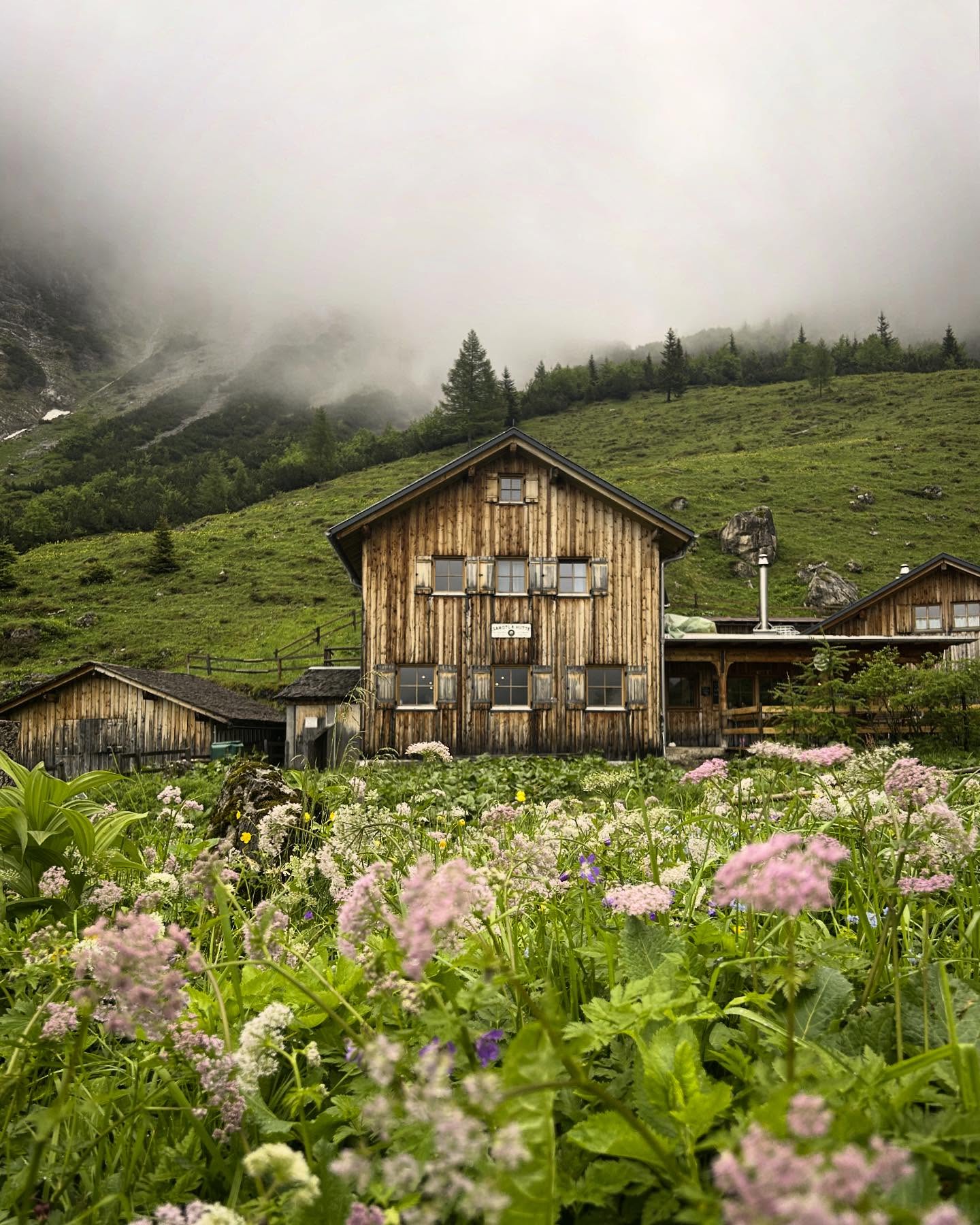 Pfingsten darf auch einfach mal nur das sein…
ein freies Wochenende mit guter Aussicht 🥾🏔️
#Berghütte #Hüttenliebe #Almzeit #Bergsommer #Almhütte #Hüttenfeeling #Wanderlust #Bergliebe
#Naturgenuss #Hüttenzeit #Sommerinbergen #Wanderabenteuer #Hüttengaudi #Bergleben #Alpenglück #Heimatgefühle #Gipfelglück #Hüttenzauber #pfingsten #feiertag #schönensonntag #schön #niceview #alpen #alpenvereinshuetten #alpenvereinshütte #alpenvereinösterreich