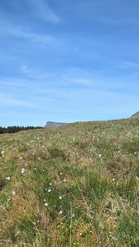Bog cotton on Benbulben, where no two days
really ever are the same
#Sligo #benbulben #wildatlanticway #irelandinfocus #irelandunrushed