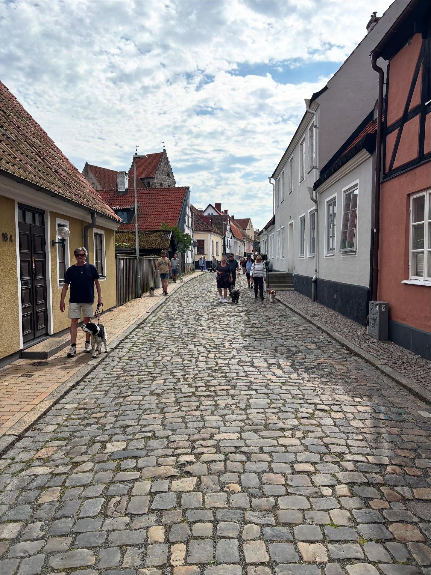 Höll på att glömma🙈🙈
Så kan det bli när man byter dag & tid.
Ikväll är det premiär för våra sommarpromenader i Åbackarna.
Vi träffas kl.19 vid utegymmet, bredvid tennisbanorna på Tobisvik.
Vi går en mysig aktivitets & socialiseringspromenad på en dryg timme.
Jag anpassar promenaden efter vilka ekipage som dyker upp. Så tveka inte, alla är välkomna.
Medlemmar i SimBK får hänga med gratis även under sommaren. Övriga betalar 25kr/gång eller 10-kort för 200kr. 10-kortet gäller även till hösten när vi flyttar in till stan igen.
För Information;
Från och med 1:a promenaden i höst, när vi flyttar in till stan (datum inte bestämt än)kommer medlemmar få betala 25kr/gång eller 10-kort för 200kr.
Icke medlemmar betalar då 45kr/gång eller 400kr för 10-kort.
Varmt välkomna ikväll.
//Yvette☀️