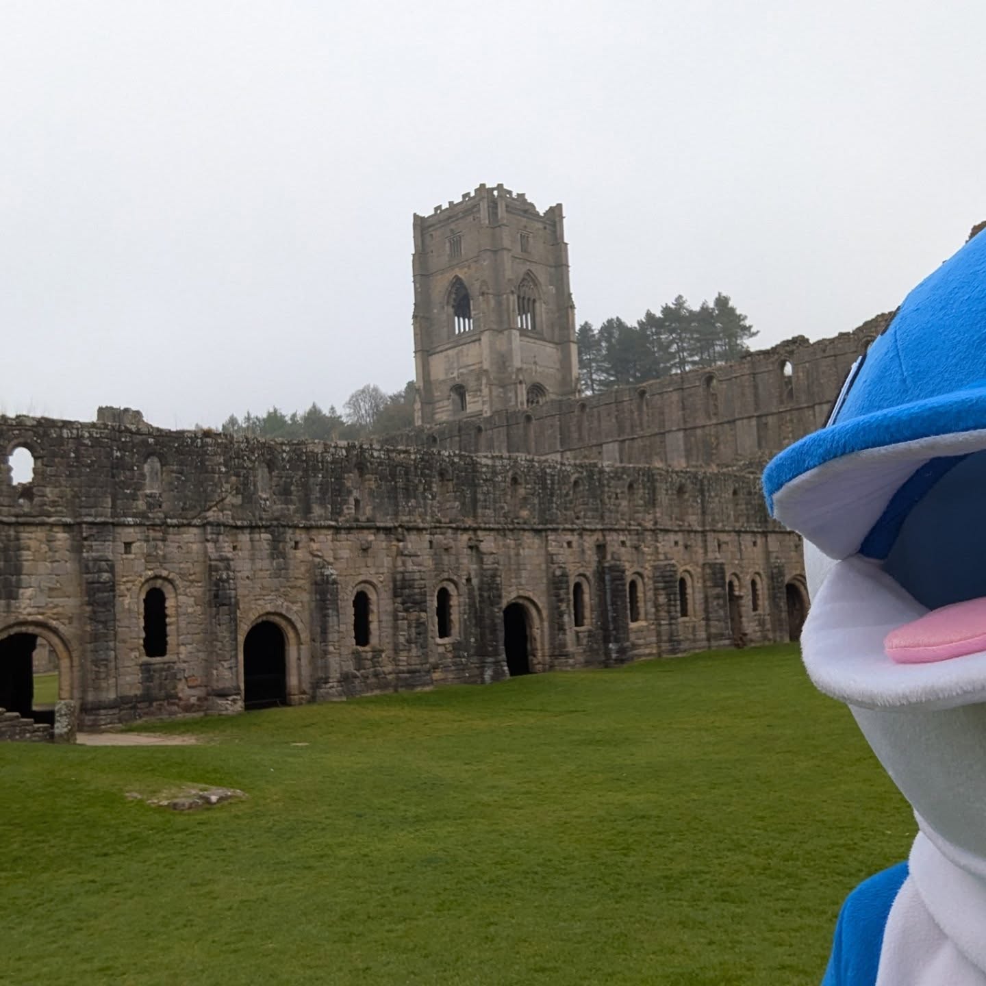 The beautiful @ntfountainsabbey parkrun.