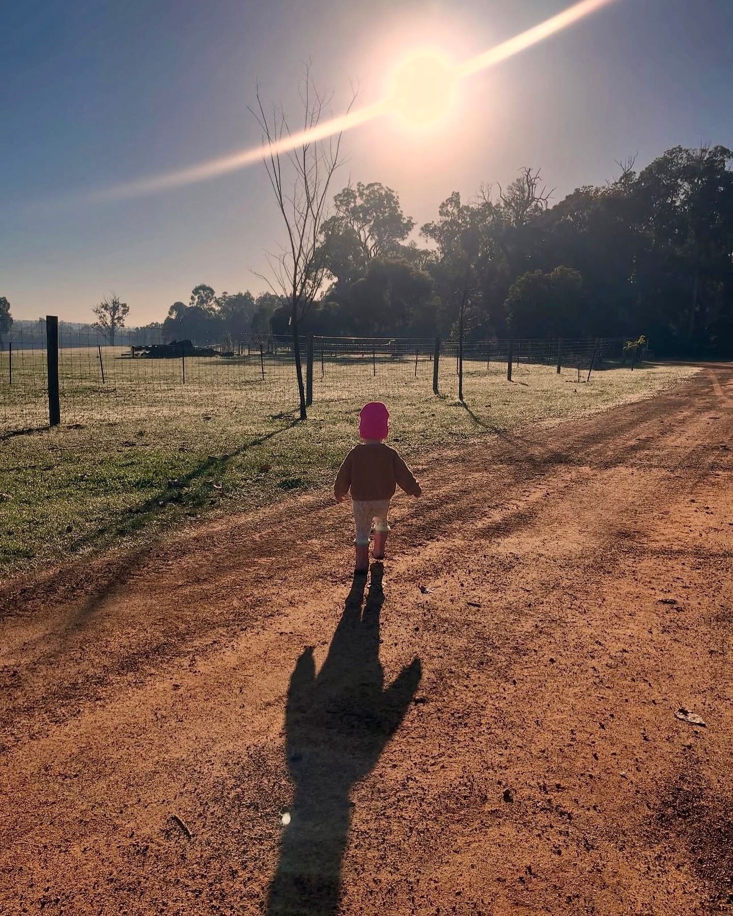 Arrive as kids - Leave as adventurers! 🥰❤️
#wildinourheart #farmstay #farmstays #experiencenannup #tourismwa #southernforestsandvalleys