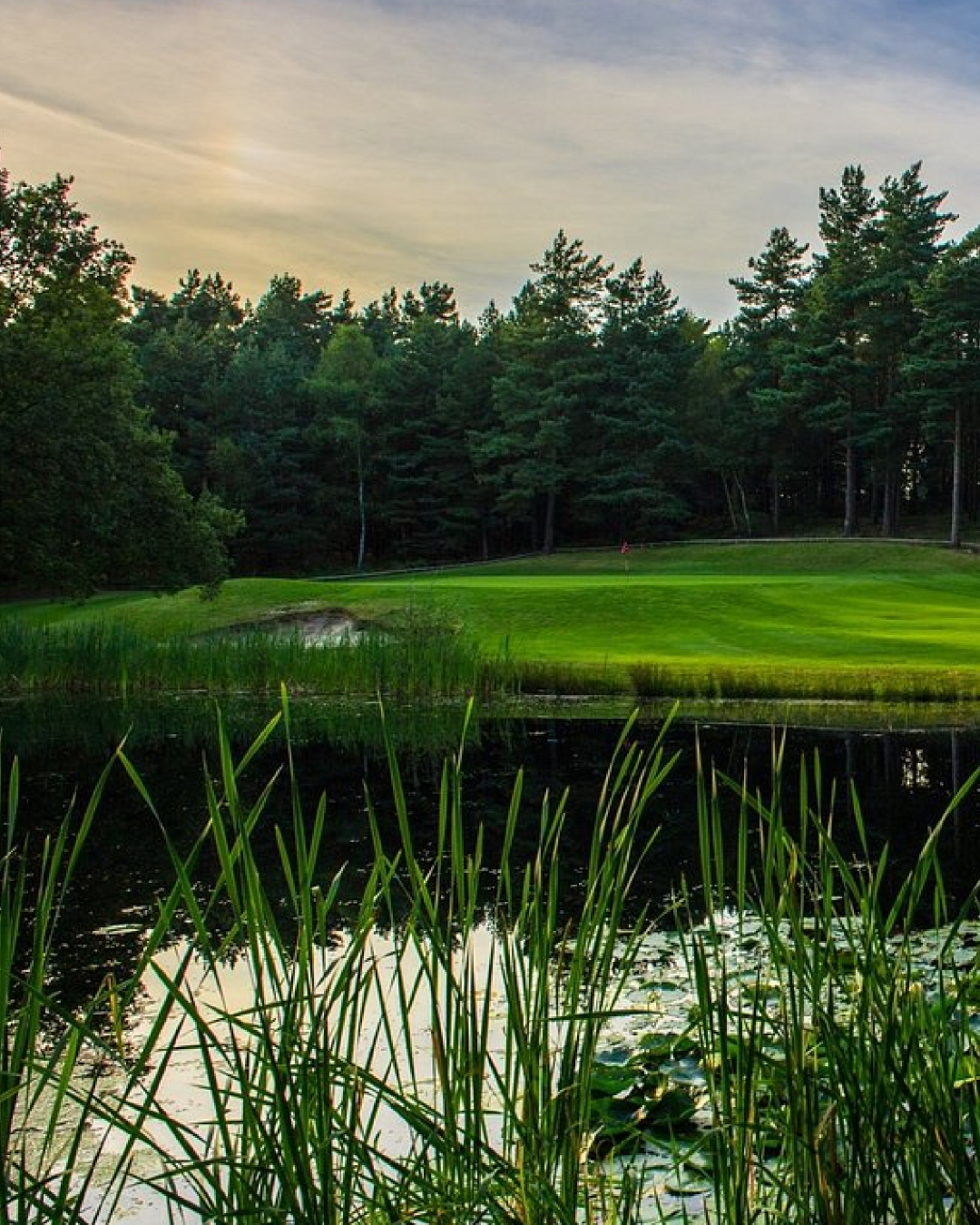 10 Days until we return to the tree-lined fairways and greens of @pine_ridge_gc
🏌🌲