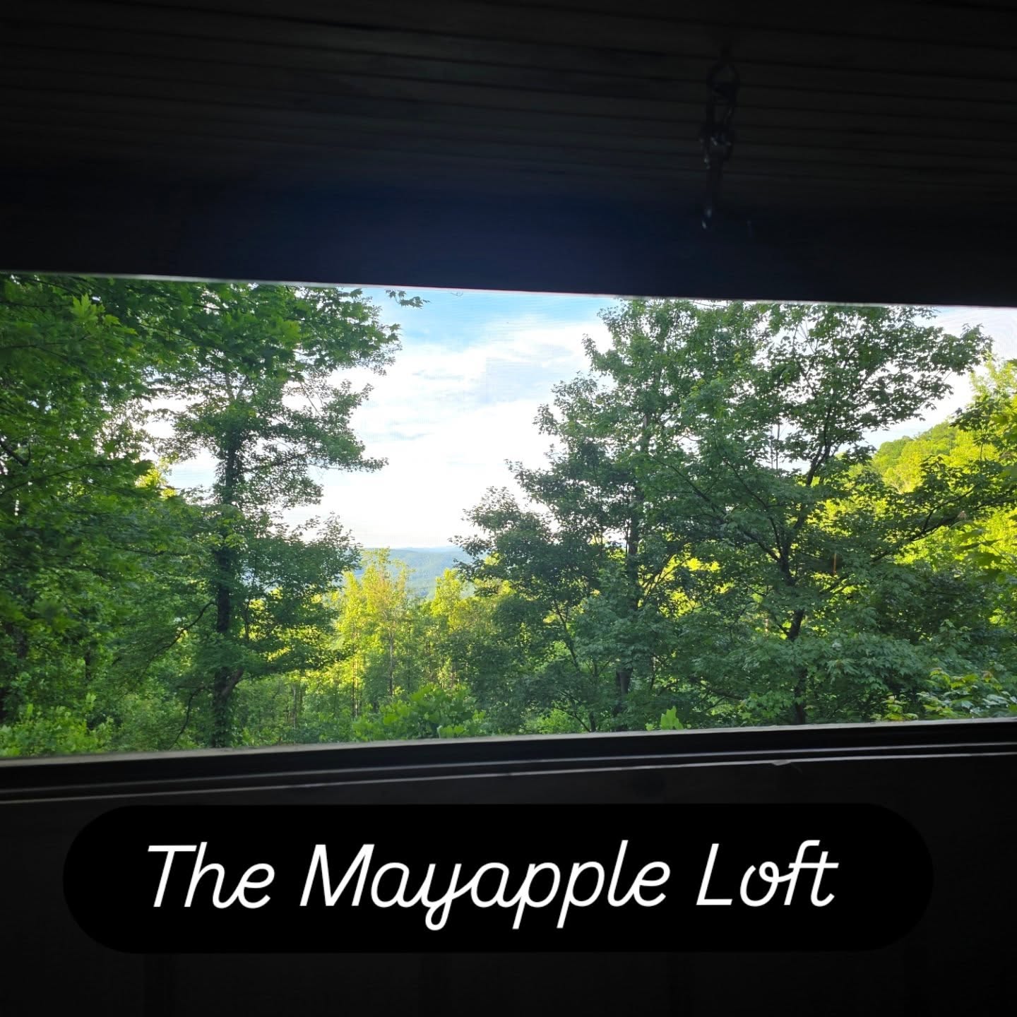 The Mayapple Loft at @the.outsideinn
I wanted a couple nights and days to be in the mountains and hike and read and relax - only two hours from Charlotte was the perfect place to take in the mountain view and be surrounded by the emerald green of June in Appalachia. Nestled on a little hill adjacent to Blue Ridge Parkway.
(I was introduced to Jon Charles Dwyer when he performed Thursday night at the Old Gods of Appalachia live show - his music only serves to enhance the scenery)
#MountainGetaway #LiveInNature #Appalachia #BlueRidgeMountains