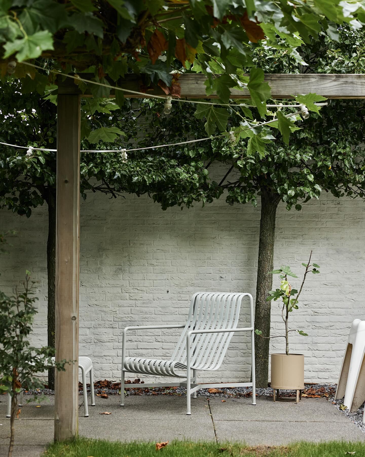 En ineens is het alweer (bijna) zomervakantie… 🌿
Vorig jaar wist je het zéker: volgend jaar gaan we écht iets doen aan de tuin.
Je zou aan de slag gaan met een plan. Een fijne plek creëren om tot rust te komen, te genieten, samen te zijn.
Je hebt al een bord vol Pinterest-inspiratie.
Wat schetsjes hier, wat ideeën daar. Ze liggen klaar op de keukentafel – al maanden.
Maar ja… toen kwam het leven. School, werk, zwemles, avondvierdaagse, sportweekenden – je kent het wel.
En nu is het alweer zomer.
De zon schijnt, de avonden worden langer…
En je denkt: help, dit gaat ons wéér niet lukken dit jaar.
📌 Lichte paniek in plaats van ontspannen zomeravonden in jullie eigen fijne tuin.
📌 Geen zwoele BBQ’s met vrienden.
📌 Geen plek om even op adem te komen.
Maar wat als het anders kan?
Wat als je nu een keuze maakt – en samen met mij een concreet tuinplan gaat maken?
Eentje waar je écht mee aan de slag kunt. Geen stress, maar overzicht. Geen uitstel, maar stappen vooruit.
Stuur me een DM als je zin hebt om nog vóór de zomer écht te beginnen.
Samen maken we er iets moois van.
☀️🌸