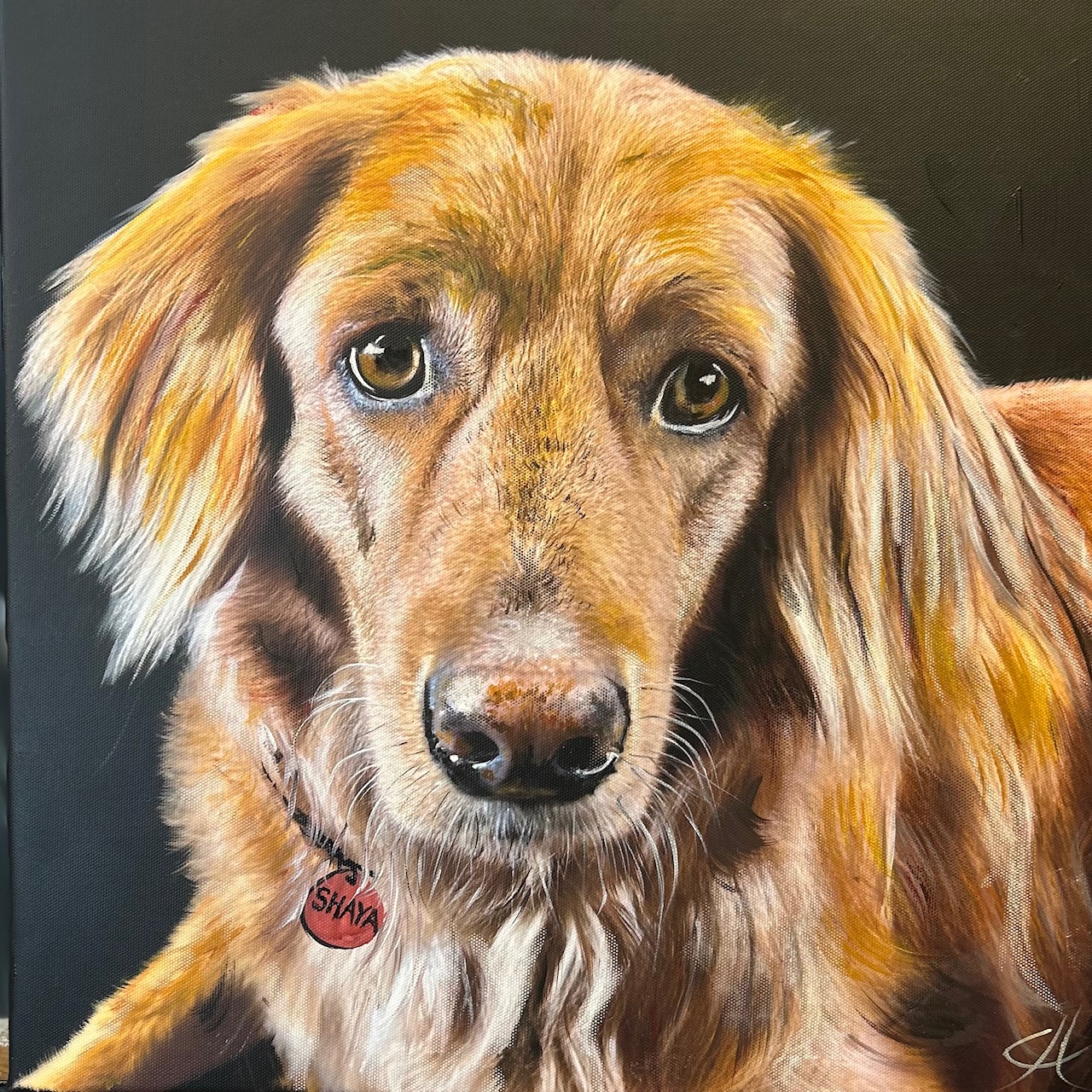 Hi, my name is Clive Hemsley and I love to paint portraits of dogs ๐พ
This is Shaya, a real beauty and a portrait I finished recently ๐งก
๐My studio is in Axminster, Devon. I have painted over 2,500 dogs all over the world! Please do get in touch if you would like me to paint a portrait of your dog ๐ฉ
#dogsarefamily #clivehemsley #dogsofinsta #thedogportraitartist #dogsofinstagram #dogmemories #painter #paintmydog #dogsoflymeregis #dogs #dogportraits #artist #ilovedogs #shaya