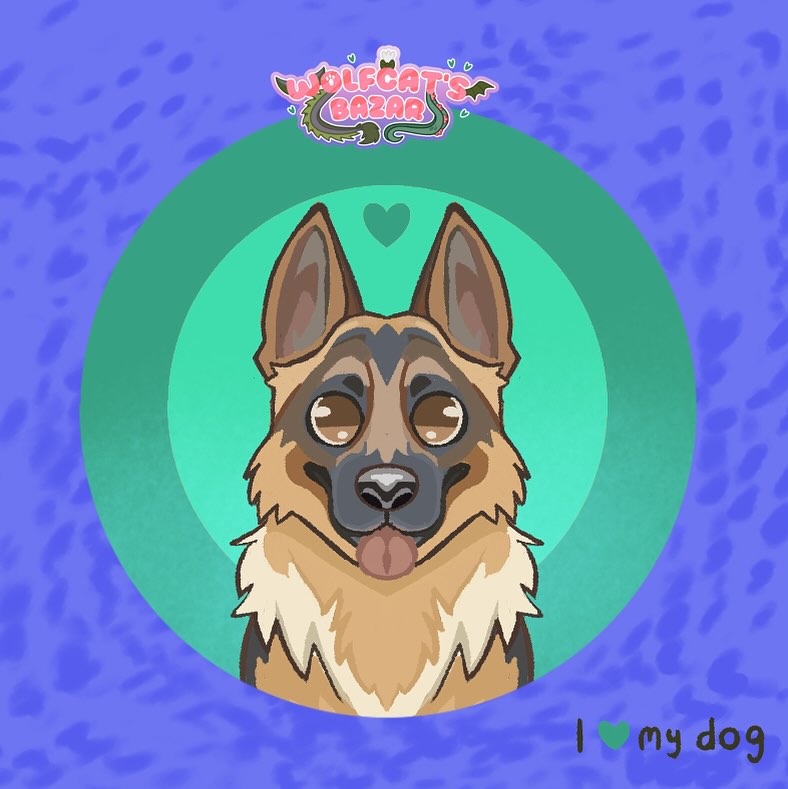 Berger allemand 💛