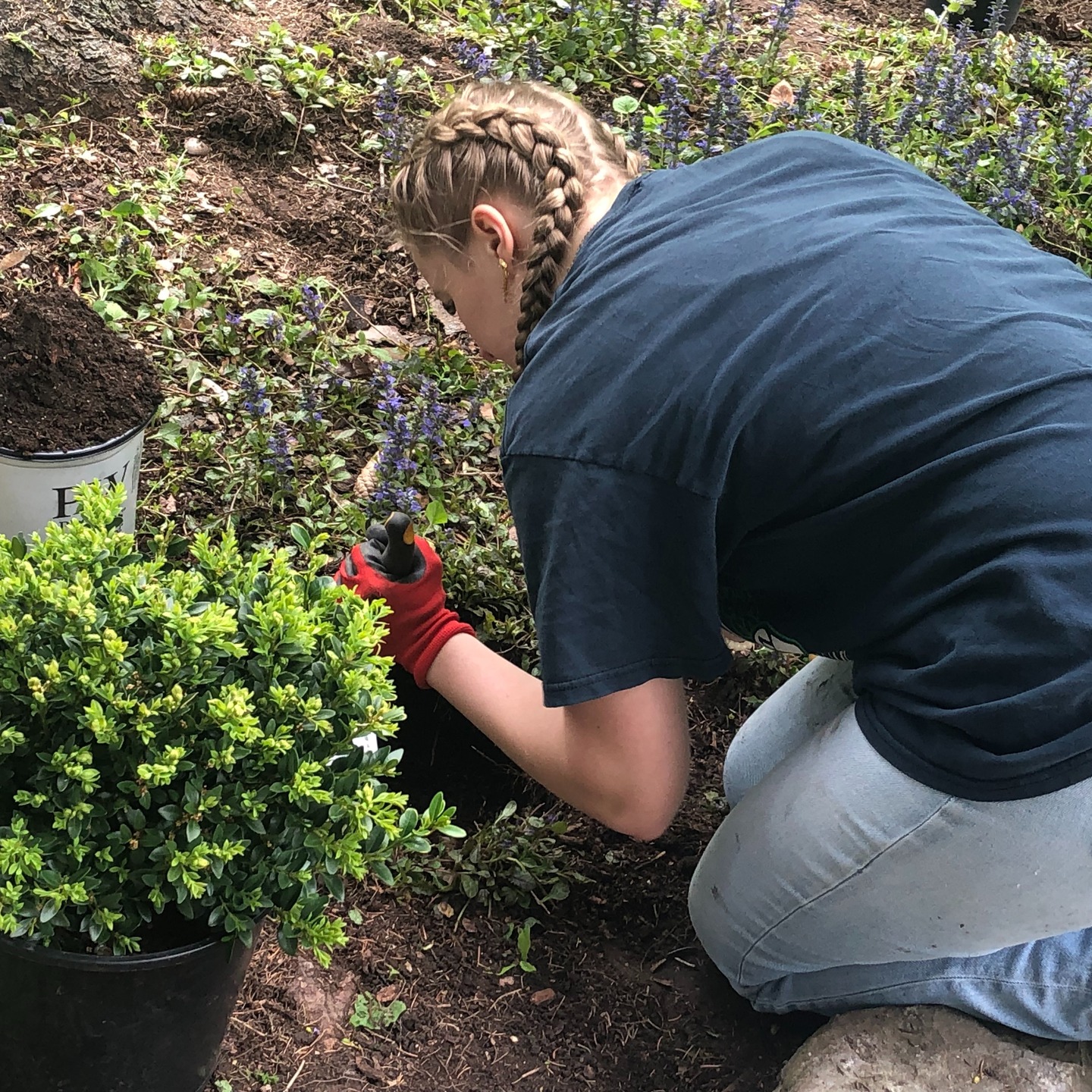 Love to garden? Come join us for a Saturday morning gardening session at Thornden! We meet most Saturdays during the summer from 9:30-11:00AM. We have tools, gloves, rakes...only thing missing is you!
Next session: Saturday, June 14 at 9:30AM. Meet at the Lily Pond.