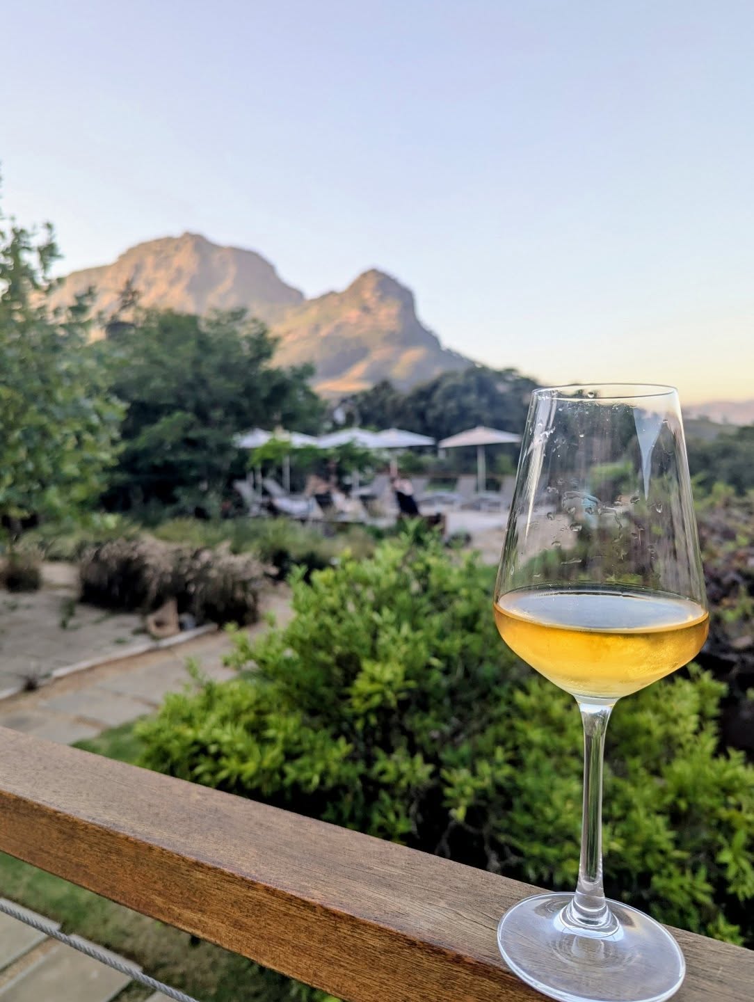 I'm so excited for next week's South African wine dinner @mrhenrys! If you've ever been to a wine dinner at Mr. Henry's you know why.
You'll get to taste wines from @kaapzichtwines and @villierawines each paired with a perfect summer dish. Buy tickets through the link in my bio or stories!