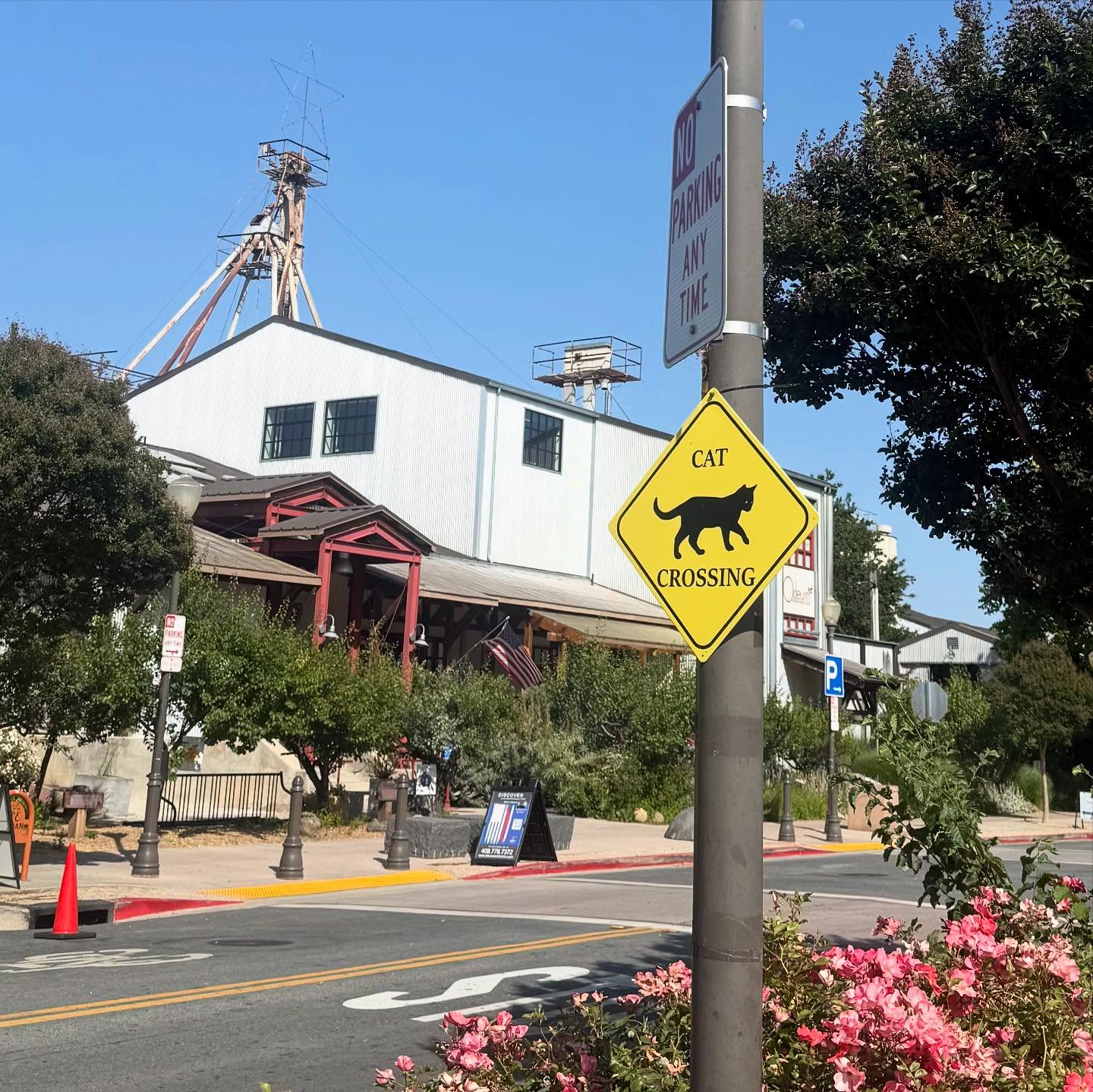 Come visit and experience the charm and elegance of one of Morgan Hill’s most beloved landmarks! Explore local restaurants and shops, and stroll through the orchard featuring heritage fruit trees from the Valley of Heart’s Delight.🌳🌄
Join us for Taste of the Granary as we celebrate 20 years of this historic building! Enjoy delicious food and drinks from five incredible local businesses—all under one roof. 🎉 Tickets available in our bio!
🐈⬛You might even spot our resident cat, Santiago, while grabbing a coffee at Barrel & Bean or after a morning workout at F45.🏃🏻♀️☕️
- @visitmorganhillca @mhcoc @destination_downtown_mh @silosmh @odeum_restaurant @barrelandbeancoffee @therunningshopandhops @discoverchirosj @bibosnypizza