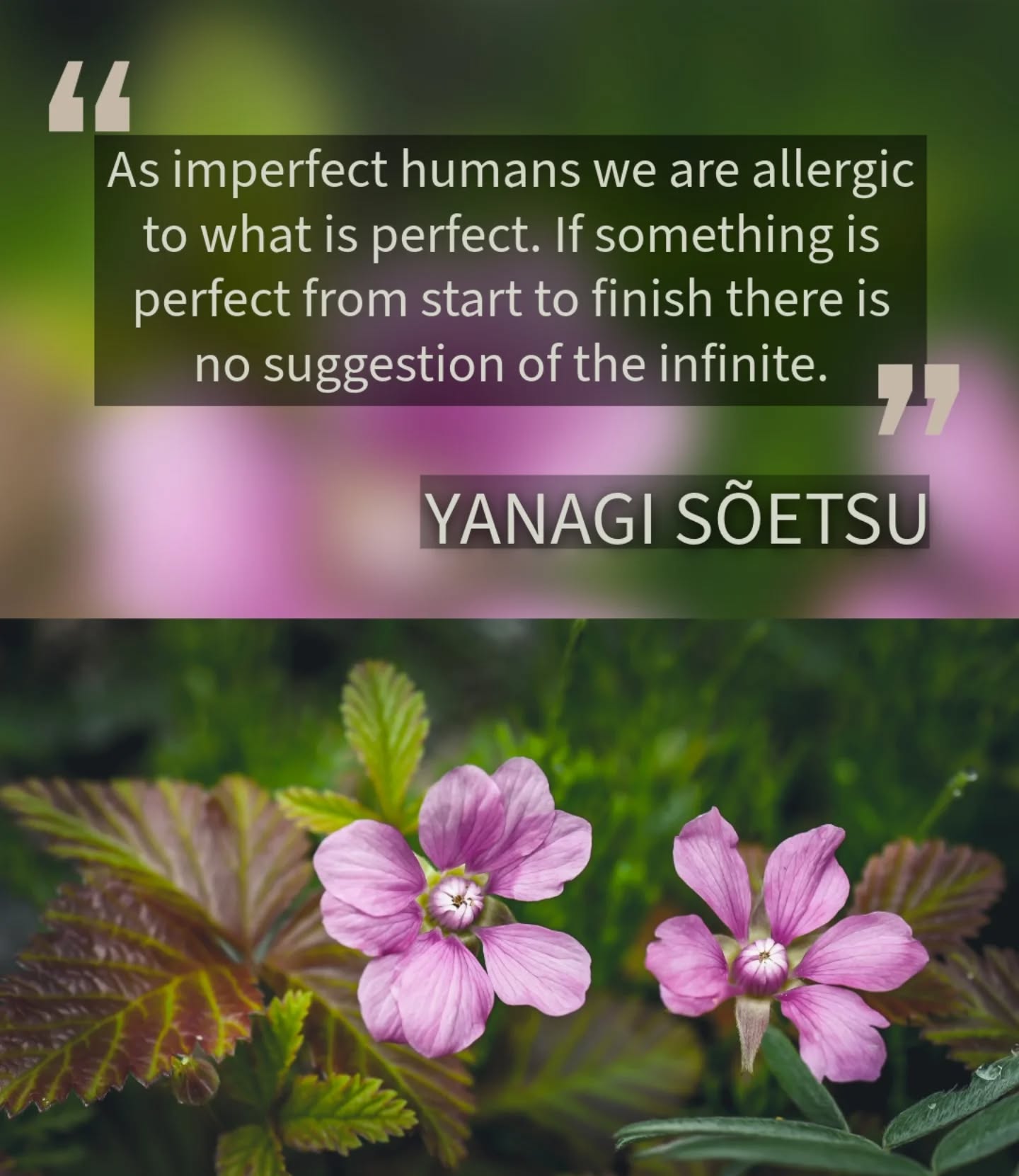 #wabisabi #wabisabimaker