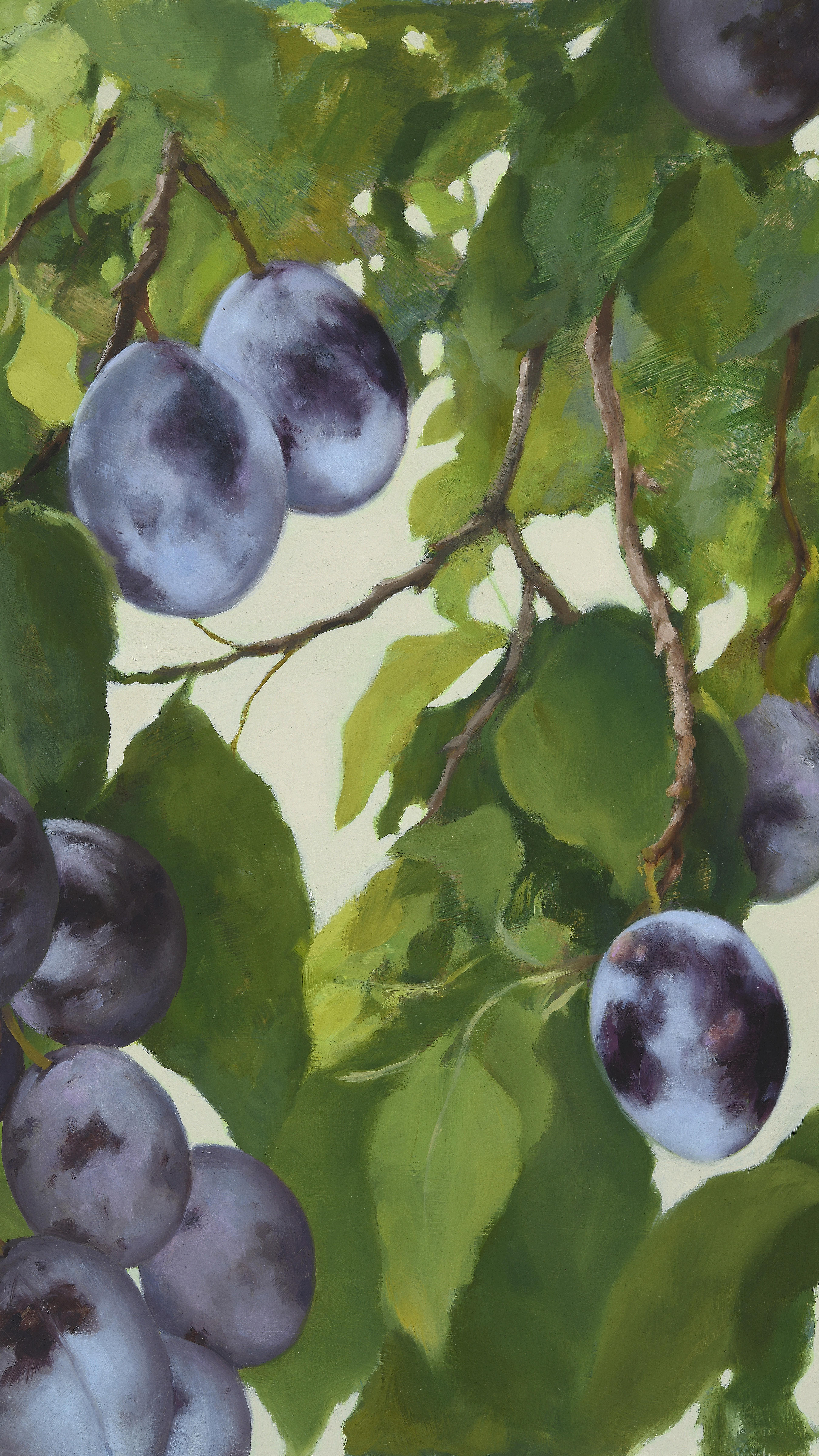 All finished framing for the @utahartmarket ‘s 135 Show this Saturday. It’s always so good to see how a frame really dresses up these oil paintings. Now all I need to do is pack up and load the car!
Watch for photos of my little $100 pieces coming soon!