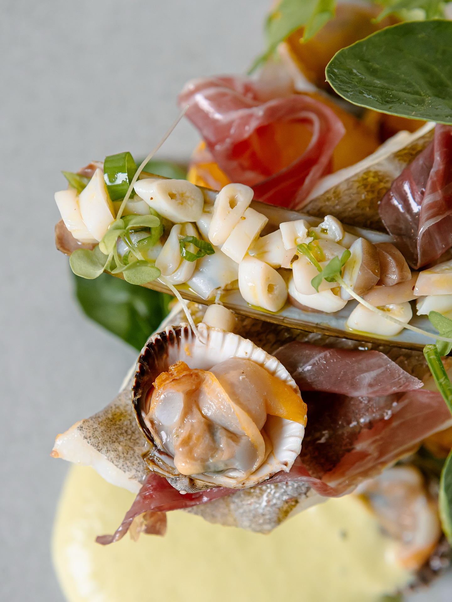 Le poisson du moment: le cabillaud, pomme de terre fondante, salade de couteaux, coquillages et palette Ibérique
#brut #tabledesaison #Gastronomie #RestaurantLove#CuisineGourmande #ChefCuisine #Restaurantsaintdeluz #DéliceCulinaire #ArtCulinaire #CuisineLocale #DînerGastronomique #TableGourmet #SaveursDuMonde #PlatsGourmands #MenuDuJour #ExpérienceCulinaire #BonAppétit #Restaurateurs #FoodieFrance #PlatsSignature #CuisineDeSaison #saintjeandeluz
Photo by @yum_photogourmande