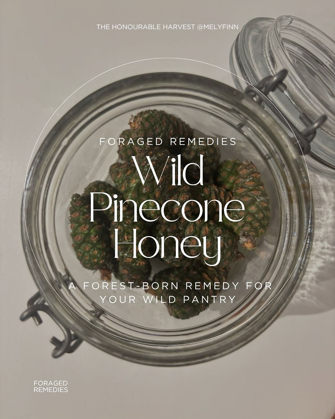 The best way to elevate your cheeseboards, desserts drinks, and your immune system. Say waaaaat??
This is the most magical treat and a perfect way to capture the taste of the forest. And it’s like the best friend with benefits. Enjoy!
#honey #elixr #wildcrafted #pineconepower #pinemedicine #bringtheforesthome #naturesapothecary #foraged #foragedremedy