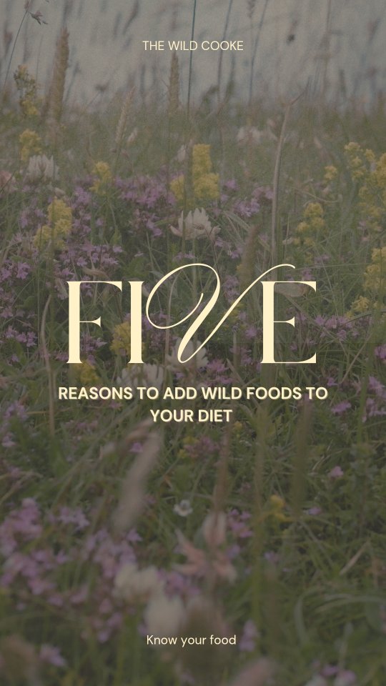There are MANY reasons why we should all be eating a few wild foods. Here are five!
Can you guess what we were picking? 🌿🤔🧐
If you'd like to learn more about wild foods then book on a walk with me! Check out my website for details on upcoming events. If I'm too far away then have a look at the @association_of_foragers website and find someone in your area 👉👍
