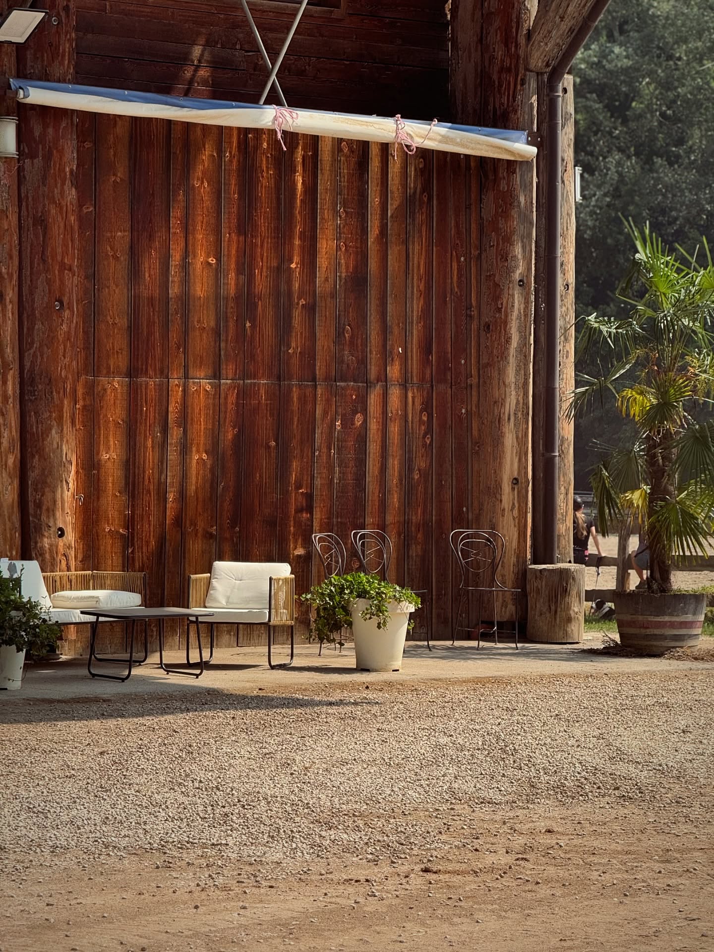 Jede Ecke im Alps Coliseum ist mit Liebe und Blick fürs Detail gestaltet.
Mit Herz, Stil und viel Sorgfalt entsteht hier ein Ort, der mehr ist als nur ein Stall –
eine exklusive Location für Reitkurse, Events und für Menschen, die das Besondere im Reitsport suchen. ✨
#alpscoliseum #exklusiveeventlocation #reitkurse #pferdeambiente #stallmitliebe #reitsportmitstil #reitevents
Ogni angolo del Alps Coliseum è curato con amore e attenzione ai dettagli.
Con stile, passione e cura nasce qui un luogo che è molto più di un semplice centro ippico –
una location esclusiva per corsi, eventi e per chi cerca qualcosa di speciale nel mondo dell’equitazione. ✨
#alpscoliseum #locationesclusiva #corsiequitazione #atmosferaequina #centroippico #equitazionediclasse #eventiequini