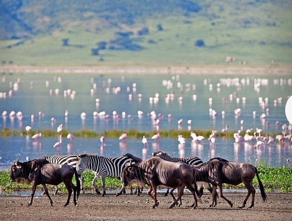 And I’m off my Tanzania scouting trip today. First stop, the Ngorgongoro Crater, a UNESCO world heritage site. Then on to Zanzibar for beaches and luxe resorts. I check all this out so I can make educated recommendations to you!