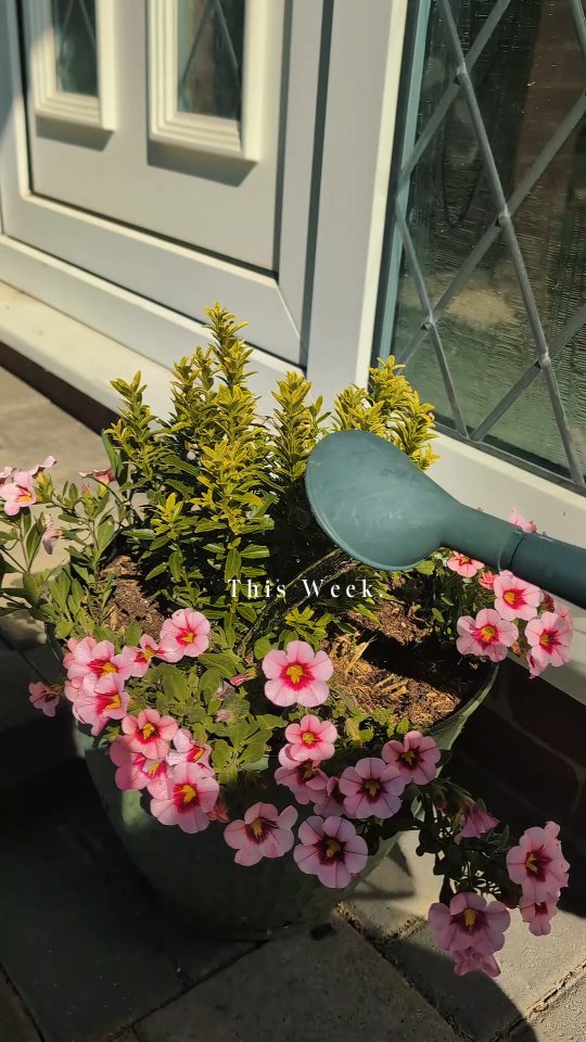 🌞 Grateful to end the working week with some sunshine.
🌱 Hoping you all find moments of joy this weekend.
#fertilityacupuncture
#fertilitysupport
#ttc
#ebbsandflows
#stillnotpregnant
#thejourneyisnotover
#thejourneyisntlinear
#ivfwarrior
#icsibaby
#naturalpregnancy
#newtreatmentroomcomingsoon