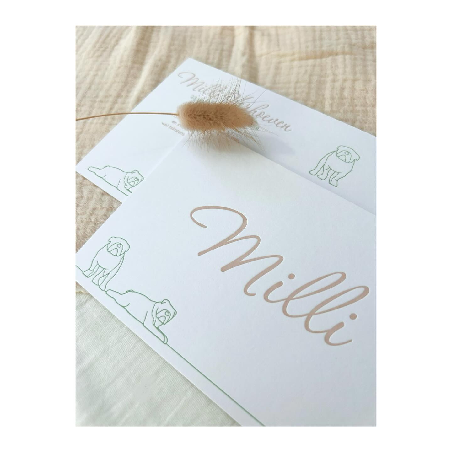 Welkom Millie 🩷
Op het letterpress geboortekaartje van Millie mochten zeker niet de 2 hondjes van het gezin ontbreken.
Dit zorgde voor een leuk en origineel geheel.
.
.
#geboortekaartje #geboortkaartjes #geboortekaartjemeisje #letterpress #letterpressgeboortekaartje #diepdruk #diepdrukkaartje #geboortekaarthondje #minimalistisch #minimalistischgeboortekaartje