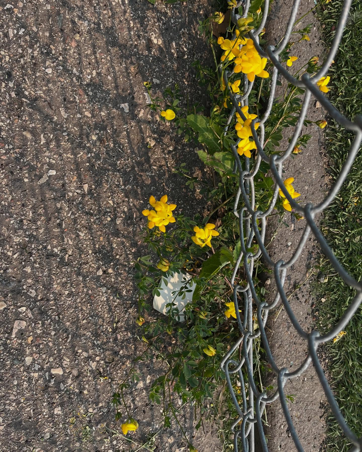 May beauty find you in unexpected places.
