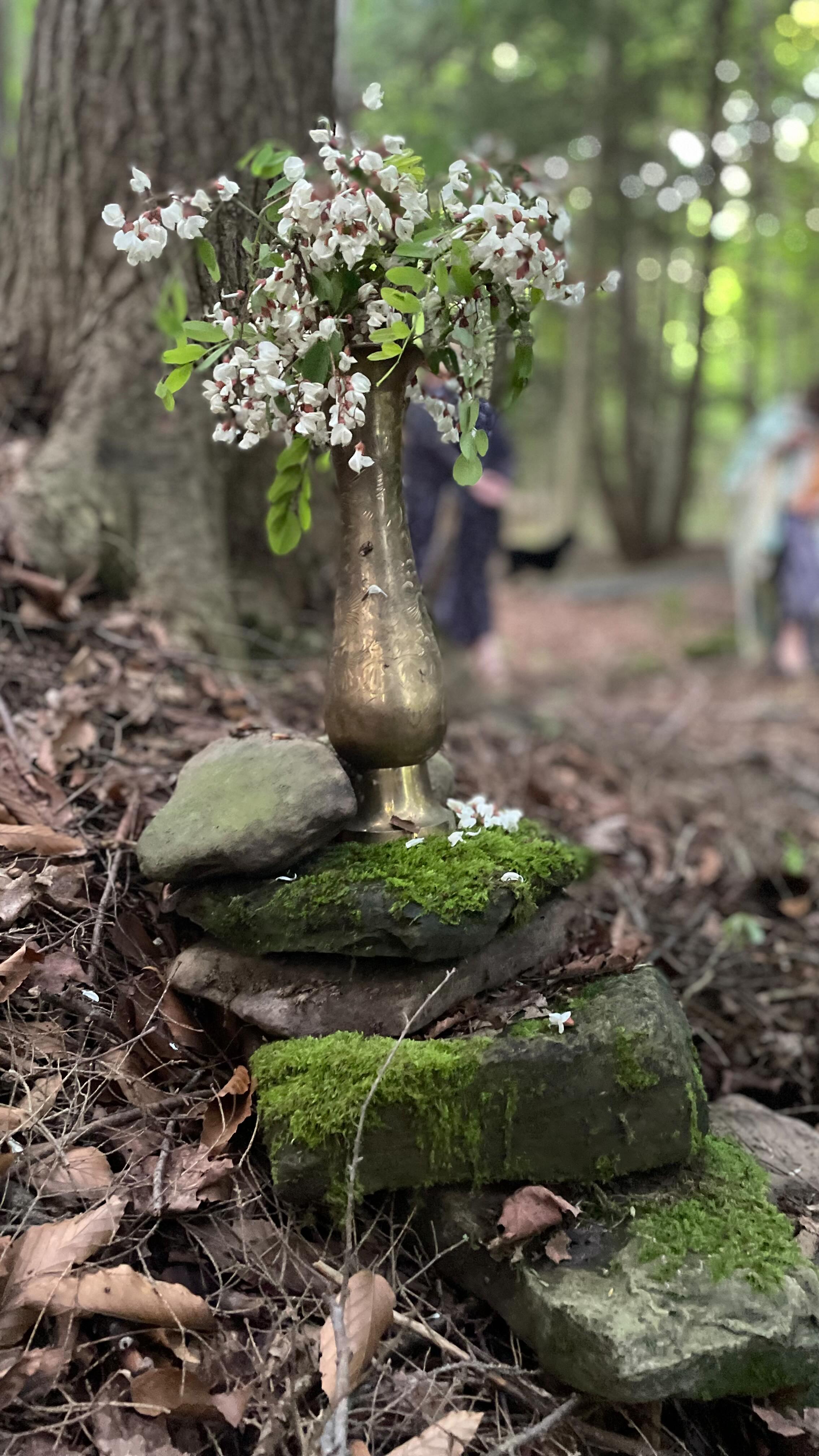 A day in a glance at yesterdays Full Moon Wombyn Circle 🌿✨
Thank you @highlandspringsfloral for inviting us again and sharing her magical floral farm with all of us! 🦋
Thank you, thank you, thank you to all who came and showed up for themselves!
We see you, we love you!