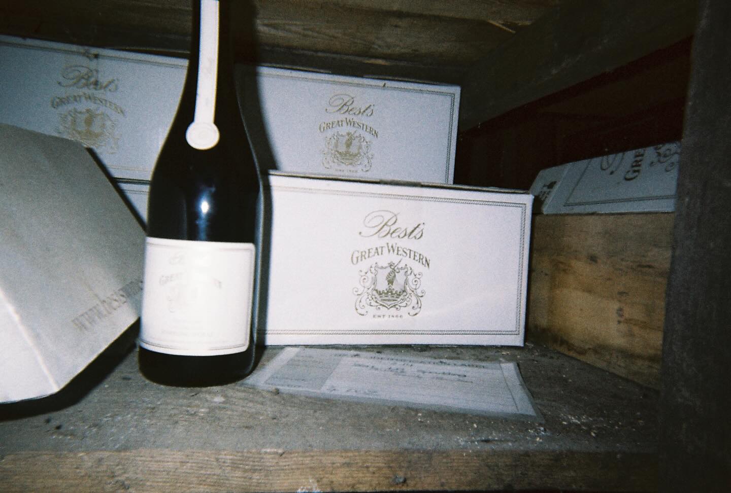 Old vines, underground cellars, and one very excited wine nerd (me) at @bestswines . Here’s just a taste of the photo spam that followed 🍷📸