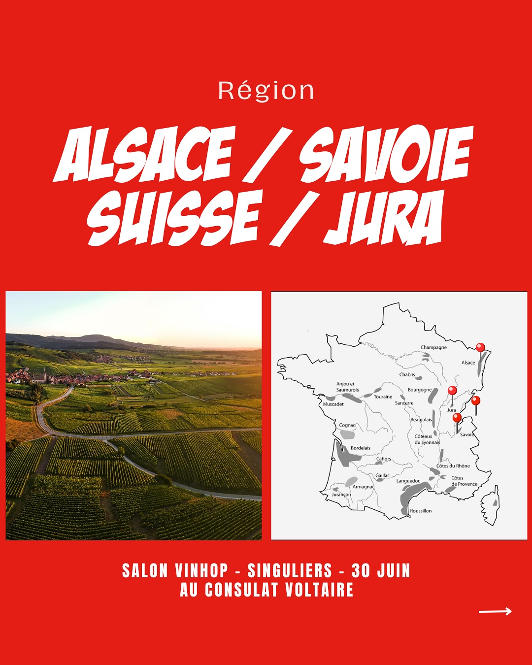 À la rencontre des vignerons d’Alsace, de Savoie, de Suisse et du Jura.
@julienkleinvigneron
@domaine_trapet
@domainelarogerie
@yannickpassas
@domainelesaricoques
@domaine_de_la_touraize
@antoinepetitprez
@vinsrijckaert
Venez les découvrir lors de notre salon SINGULIERS, où plus de 90 vignerons seront présents.
📍Le Consulat Paris 11ème
📆 30 juin 2025
‼️Réservé aux professionnels - lien d’inscription en bio