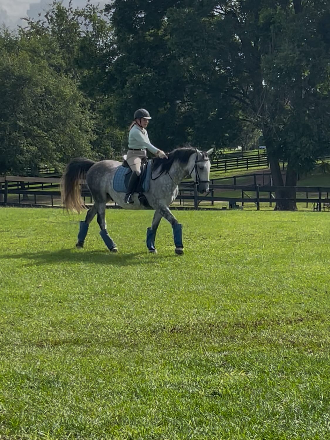 This week has been filled with lots of growth for both my horse and human students. Growth in taking steps forward, understanding philosophy, connection and getting back in a routine. While I love riding and nothing beats the feeling of having the privilege of connecting with a horse in that way… teaching really ignites a fire in me. I love being able to share the knowledge I’ve gained and see how it empowers horses and riders alike. Being able to help them and be a part of their journey is so gratifying and truly makes me happy 🥰.