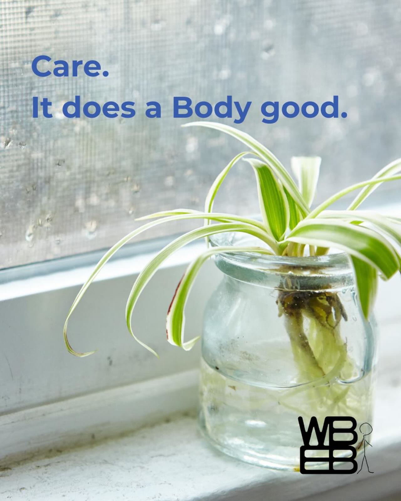 Caring for a plant- be it a full-on garden or a cutting on a windowsill - can reduce anxiety, boost mood, and give your brain a break.
Fun fact: Soil contains microbes (like Mycobacterium vaccae) that naturally reduce inflammation and increase serotonin levels - a natural health supplement, right under your fingernails!
In a world that pulls us in every direction, tending to life - even if it’s life in an old cup - can center us back in our own.✨
#wellbeingforeverybody #soilscience #somaskills #wholepersonhealth #mycelium