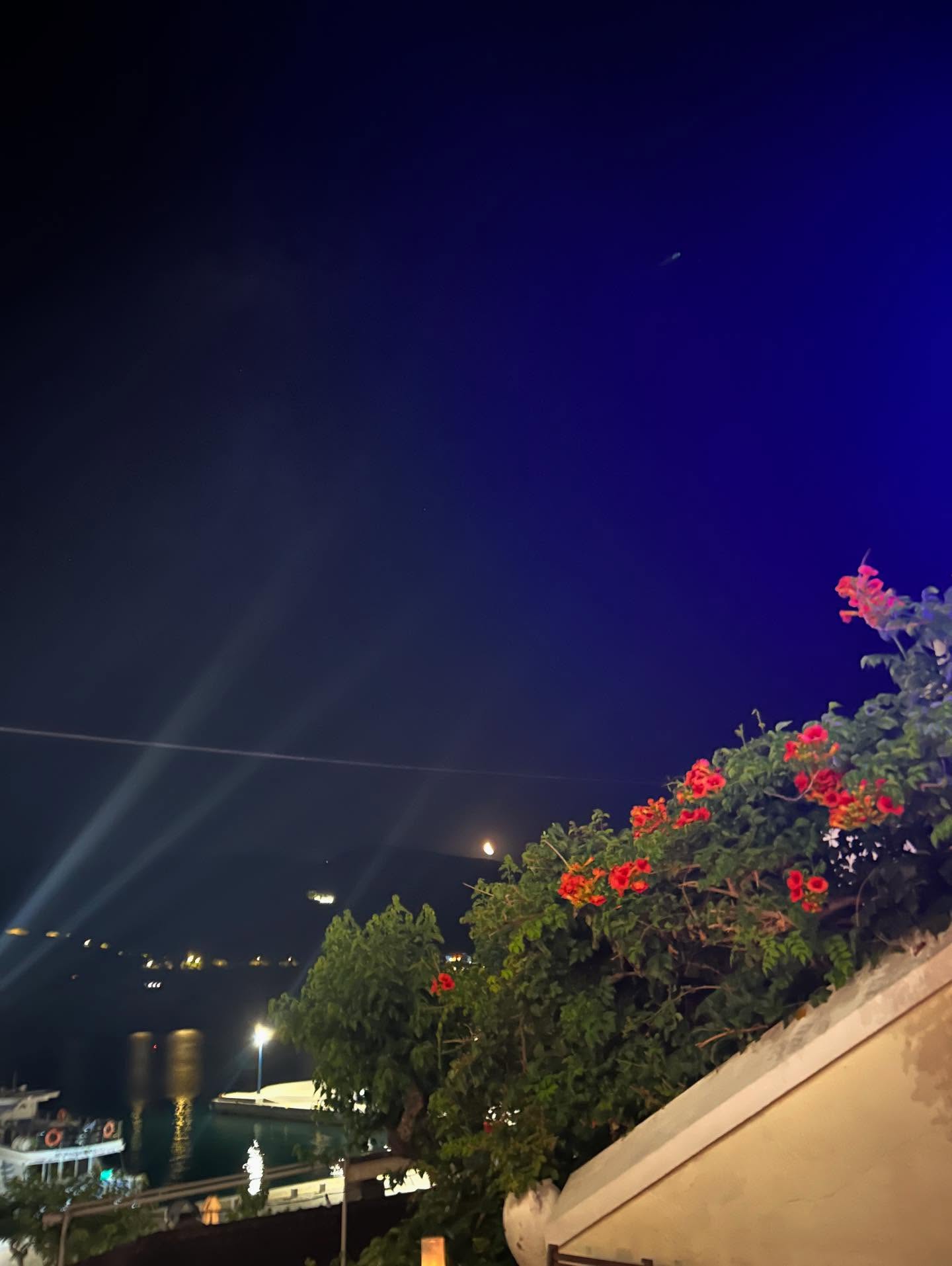 #mercuriuscoctailbar