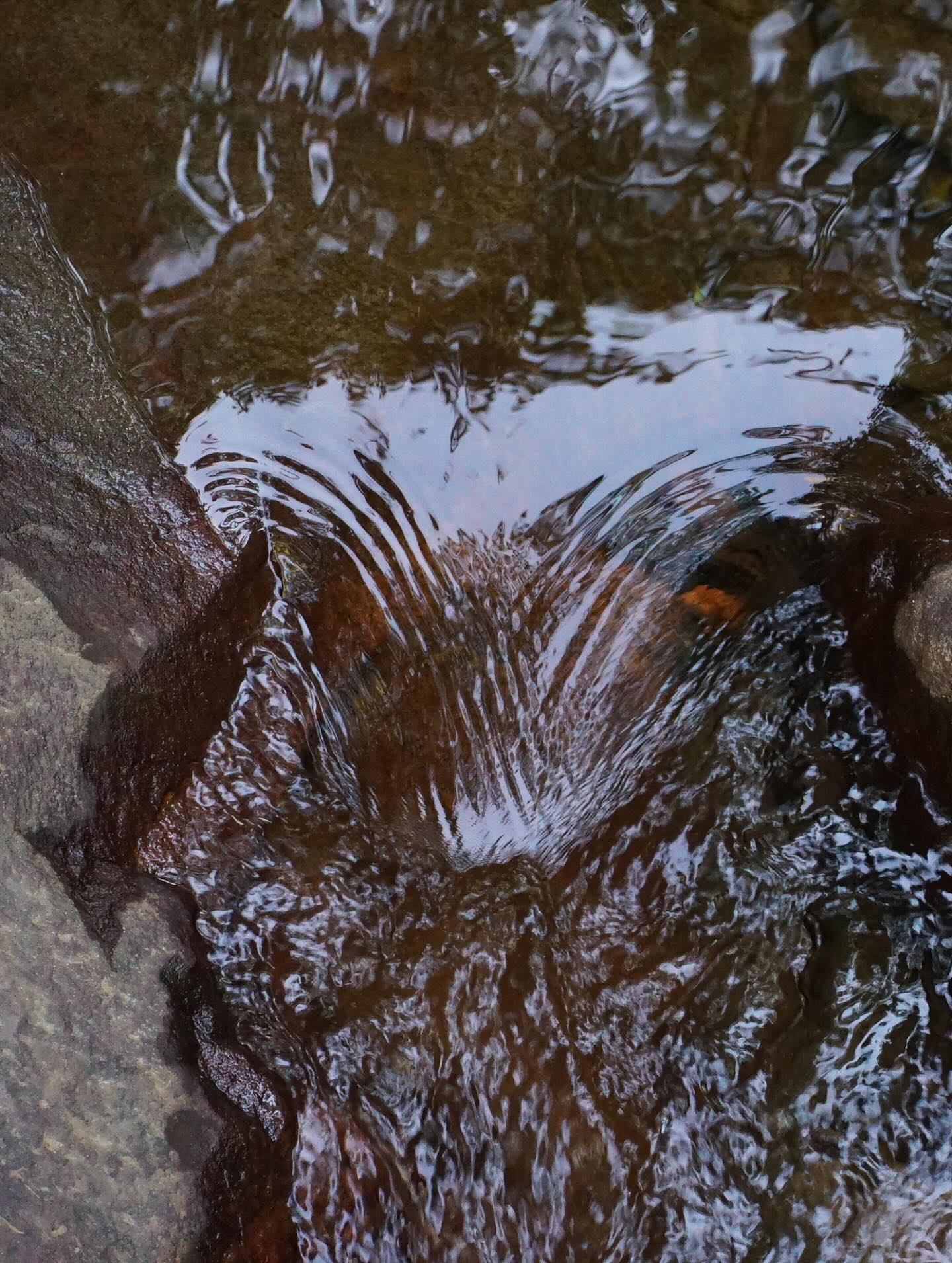 Moments on Larrakia country
sacred sites, blessed springs, family, non human kinfolk, sea eagles, red tail black cockatoos, whistling kites, anger & fire medicine, stories & yarnin, fishing, countrymen & women, lots of cuppas, blue cypress pine, gratitude 🙏