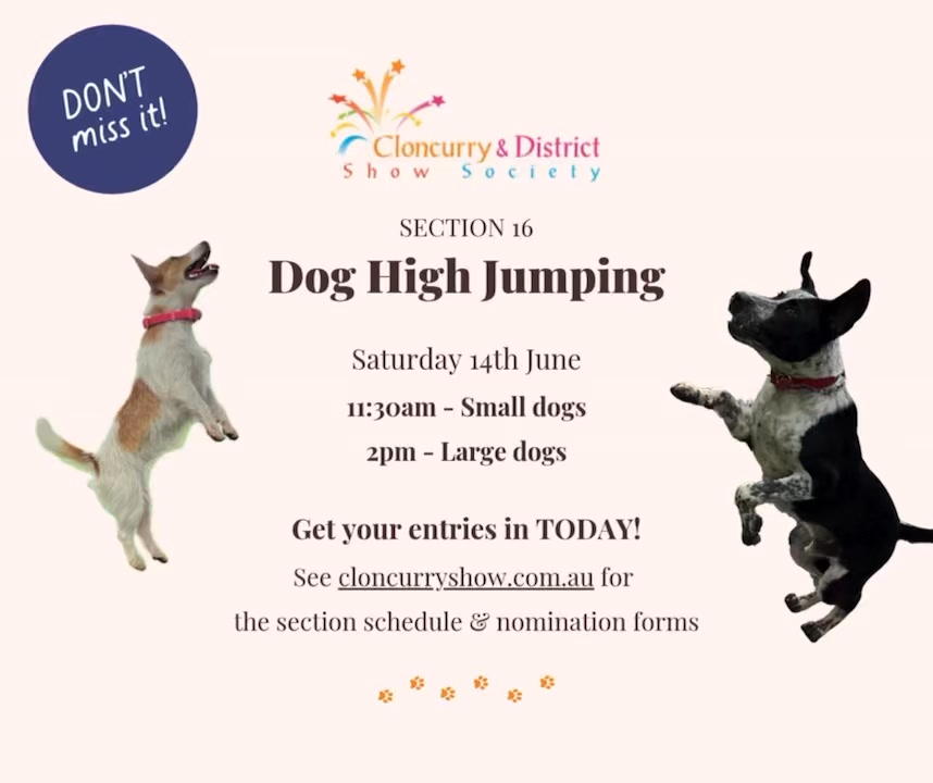 Dog High Jump entries are still open!! If your dog can jump onto a couch or a Ute, then they may have what it takes to soar onto the leaderboard on Saturday. Be sure to nominate by 4pm today โฐ๐๐พ