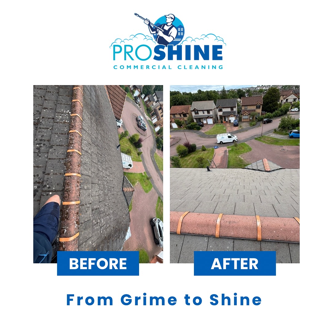 🧼✨ ROOF TRANSFORMATION ALERT! ✨🧼
Tired of your home blending in with the rest? This roof just got the Proshine treatment, and the difference speaks for itself!
💥 Years of grime—gone.
💥 Curb appeal—boosted.
💥 Value—instantly raised.
Just look at that contrast 👀
Why settle for ordinary when you can stand out with Proshine?
📞 Book your transformation today!
📸 #BeforeAndAfter #RoofCleaning #CurbAppeal #ProshinePower #CleanRoofCrew