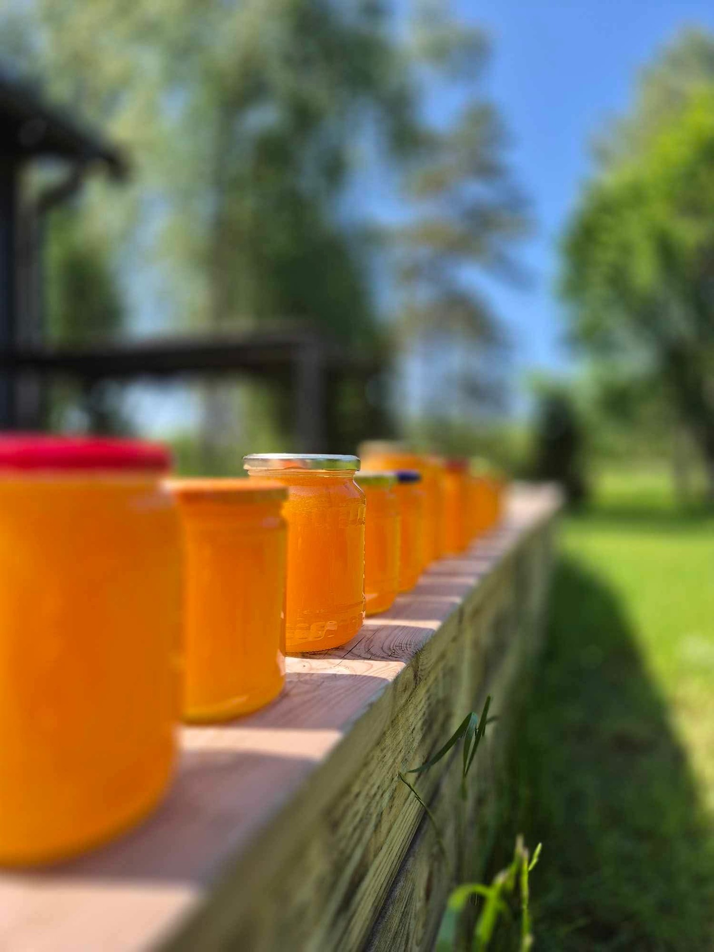 Šviežias pirmasis pavasarinis medus
