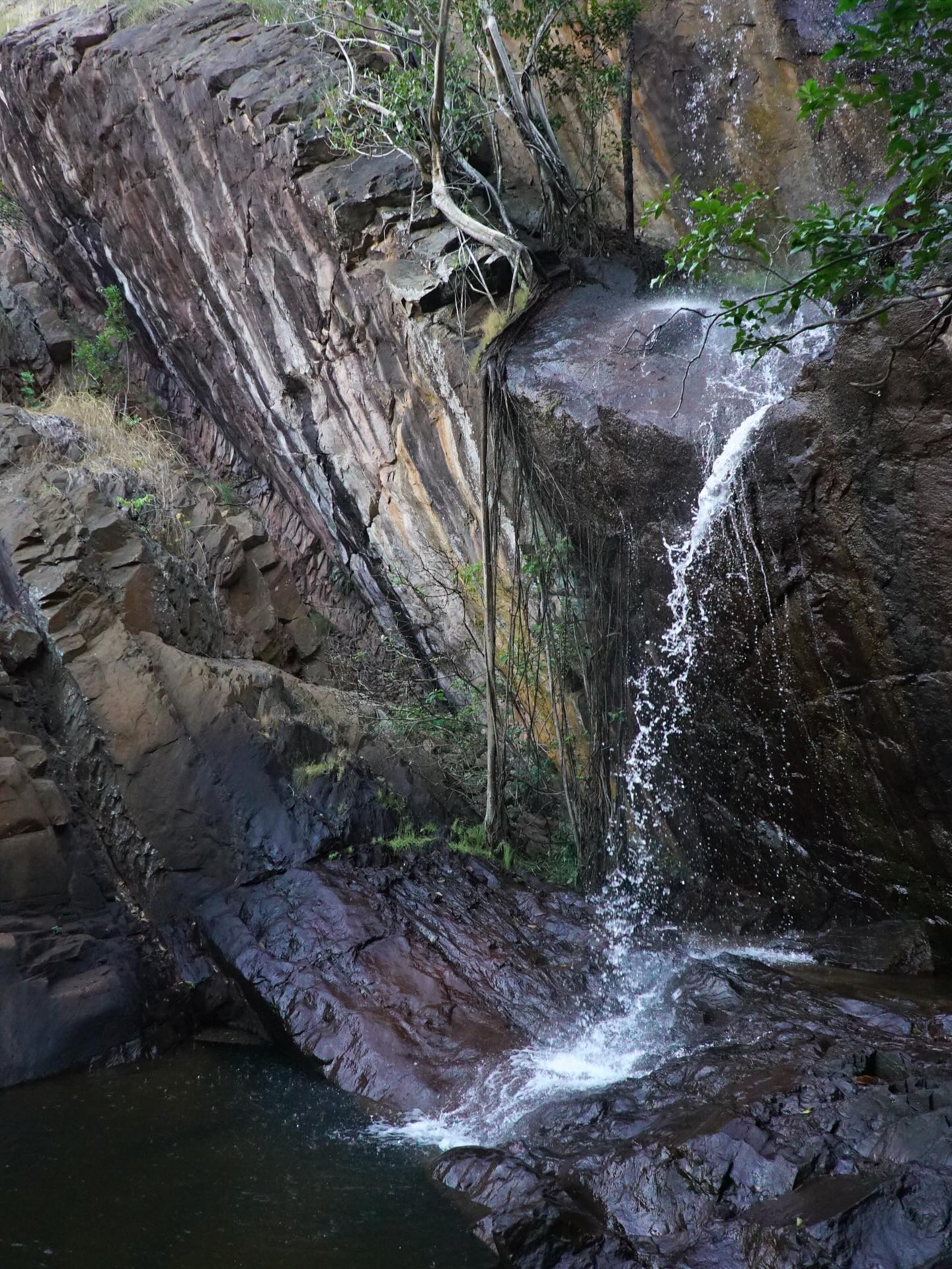 Moments on Larrakia country
sacred sites, blessed springs, family, non human kinfolk, sea eagles, red tail black cockatoos, whistling kites, anger & fire medicine, stories & yarnin, fishing, countrymen & women, lots of cuppas, blue cypress pine, gratitude 🙏