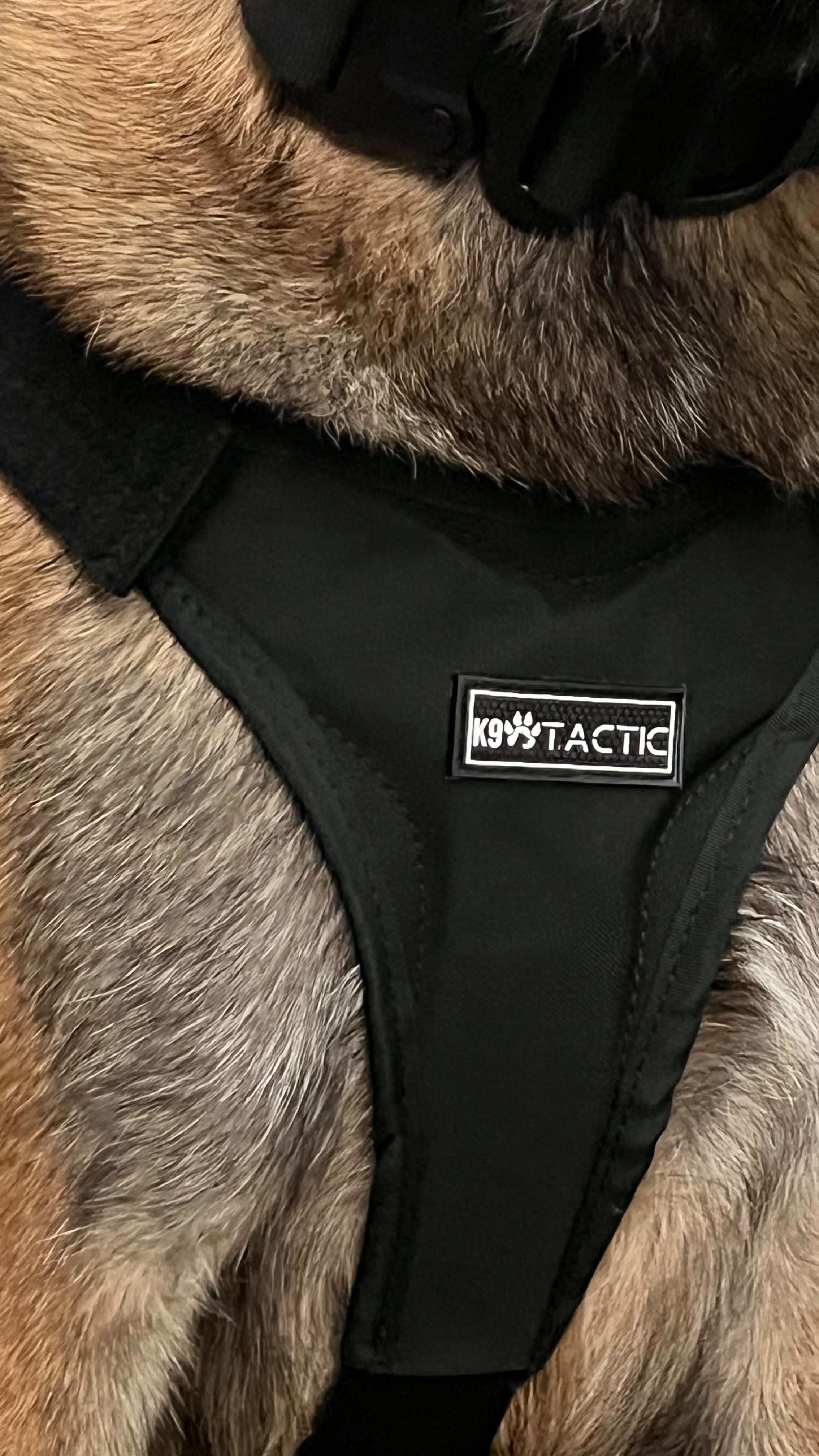 Harnais & Colliers K9 Tactic – Pensés pour le terrain
Chaque détail compte : confort, robustesse, fonctionnalité.
Nos équipements sont testés sur le terrain par ceux qui en ont vraiment besoin.
✅ Boucles fiables
✅ Poignées renforcées
✅ Ajustements précis
✅ Conçus pour durer
Que ce soit pour l’intervention, l’entraînement ou la mission quotidienne, K9 Tactic répond présent.
Fabriqué pour les pros. Fait pour les chiens qui bossent.
#chien #k9 #k9training #k9unit #k9dogs #doggear