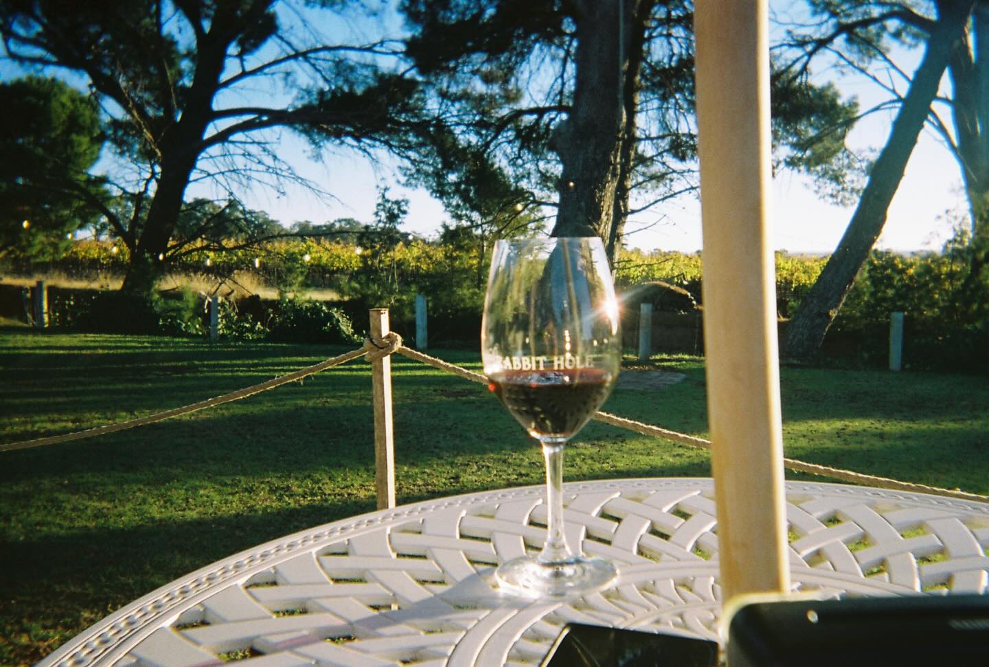 @downtherabbitholewines on film 🎞️ already cracking into the 2022 Chardonnay - perfect flavour for my taste buds, creamy, fuller mouth feel and stone fruit flavours ✨