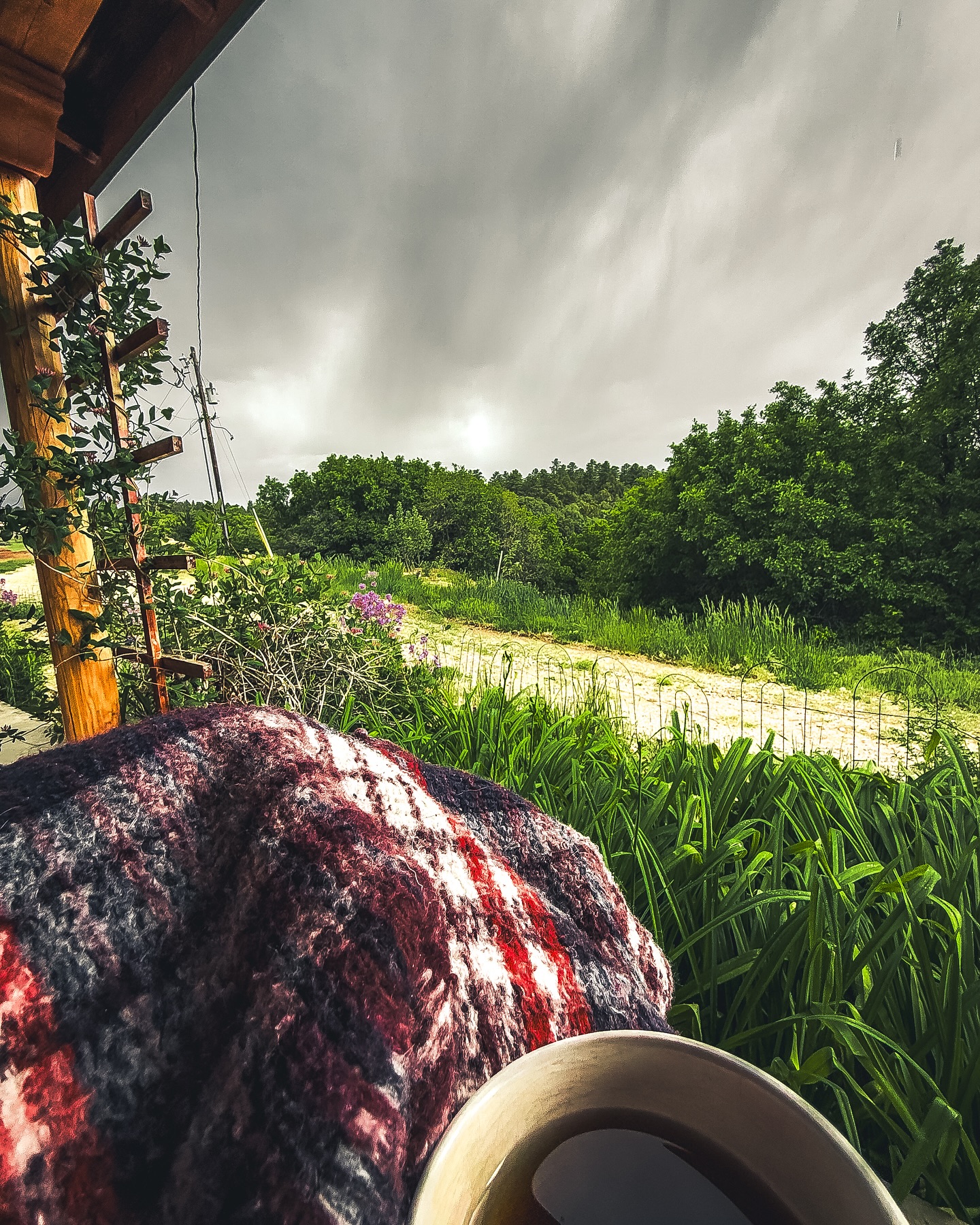 Flannel mumu. Mexican blanket. Hot tea in hand.
Thunder rolling past, rain tapping the tin roof, wind in the asparagus patch like it’s got stories to tell.
Porch rocking. Journal open.
Simple. Moody. Just right.
#TravelDiaries #PorchTherapy #ThunderAndTea #MumuMoments #SaltyLuxeAdventures #StillnessHitsDifferent #CozyVibesOnly #SlowLivingMovement #WanderWithSoul #NomadLife #HealingOutLoud #IntentionalLiving #MoodyMagic #StormyVibes #TravelDeeper #TravelWithIntention #GlobalSoul #WriterInTheWild #TinyMomentsBigFeels #CuratedEscape #VibeCheckDaily