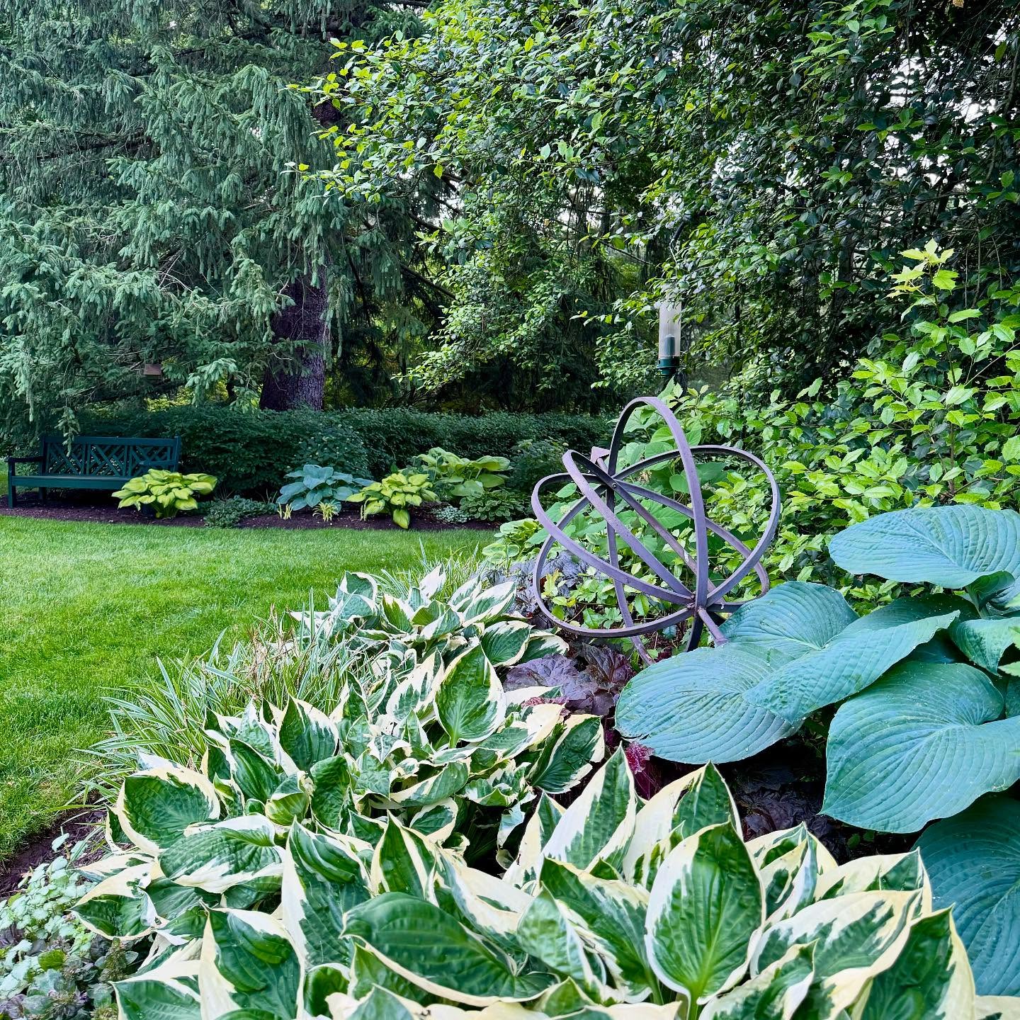 The cool and restful shade garden. While I’m more inclined to full sun gardening, this shady spot makes me appreciate the quiet beauty of the shade.
-Cape Cottage Garden, Zone 7a, New Jersey, USA.
#Finegardening,#perennialgardens #countrygardens #gardengatemagazine #thecottagejournal #unbelievablegardens #homeandgarden #thehappygardeninglife #gardendesign #romanticgardendreams #countrygarden #gardenplanning #gardengreatorsmall #betterhomesandgardens #thegardeningspirit #gardenanswer #njgardening #bhggarden#cottagegardens #flowerlovers #gardensofinstagram