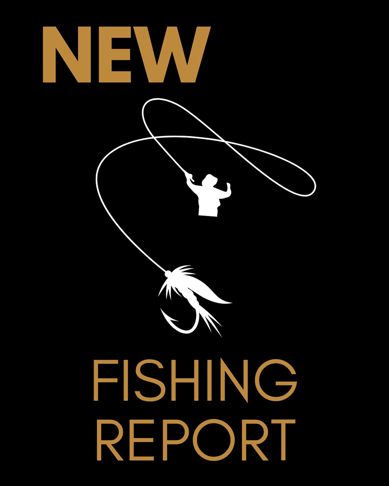 Howard Cole going for the three-peat with this week’s blog post: Fishing Will Only Get Better From Here #linkinbio
Stop by the shop or give us a call (307-733-3270) to talk current conditions and up-to-the-minute information on our local waters.
Open daily 10am-6pm
#jdhighcountryoutfitters #jacksonhole #visitjacksonhole #jacksonholeflyfishing