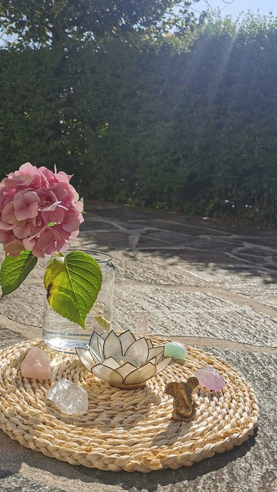 Summertime = Yogatime ☀️🌿
Barfuß, begleitet von Vogelgezwitscher, umgeben von frischer Luft, dem Duft der Blumen und das Gefühl von Leichtigkeit! So fühlt sich Yoga im Sommer an.
I loveeee it!!! 🌼💛
#reliefandflow #relief #flow #yoga #yogaimsommer #sommerliebe #freiheit #leichtigkeit