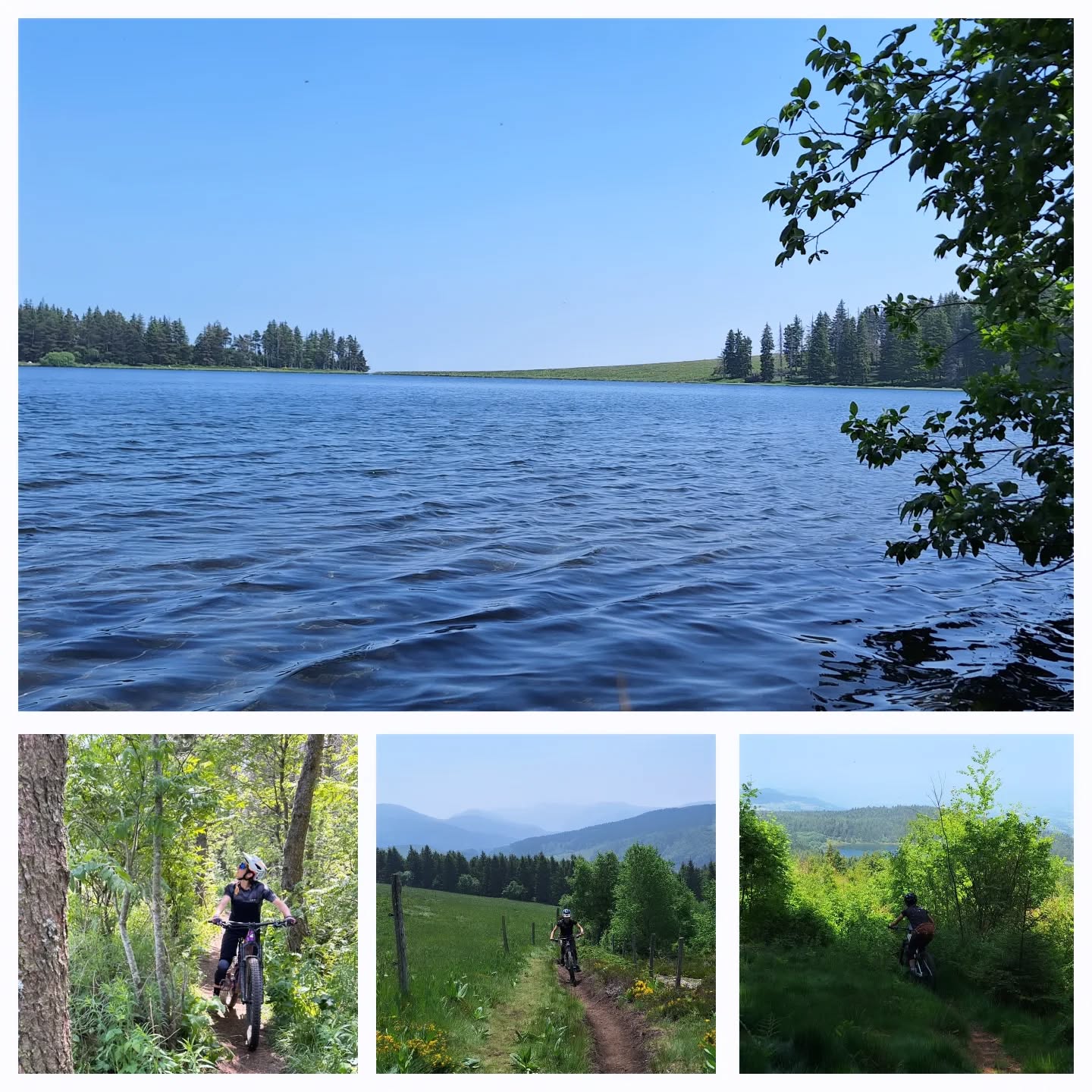 EVASION ENTRE 2 LACS
Prendre le temps d'un après-midi pour aller arpenter les sentiers entre le lac de Guery et Servieres. #petitbonheur
#jpeuxpasjaivtt
#sortieentrefilles @anne_bed
#vttenduro #sancy #nature #massifdusancy #montdore #bikeride