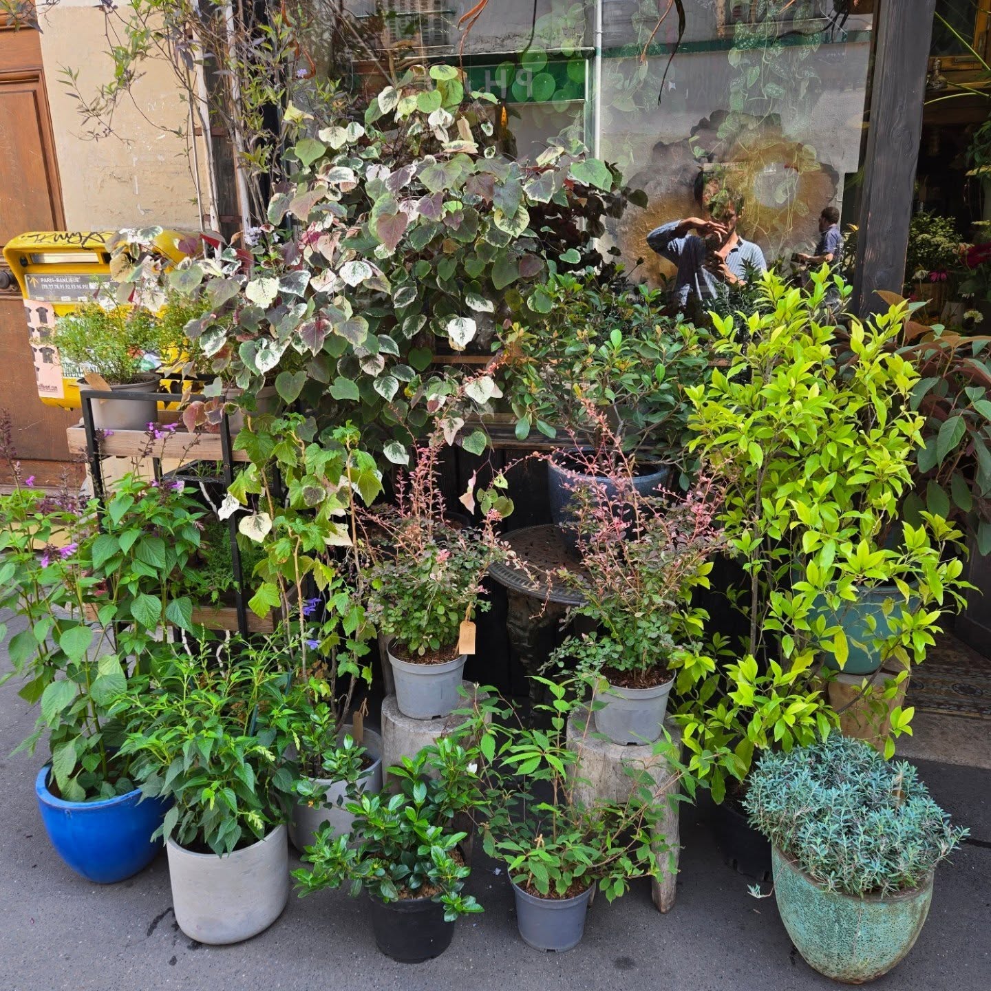 Grande Braderie de plantes
Samedi 28 juin de 10h à 20h.