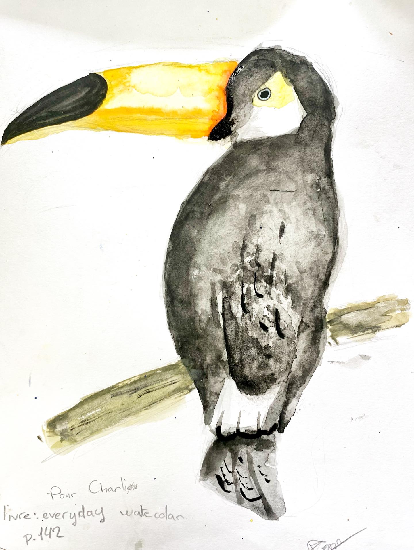 Oscar #aquarelle #toucan #coursdartsplastiques #ateliercarolinek