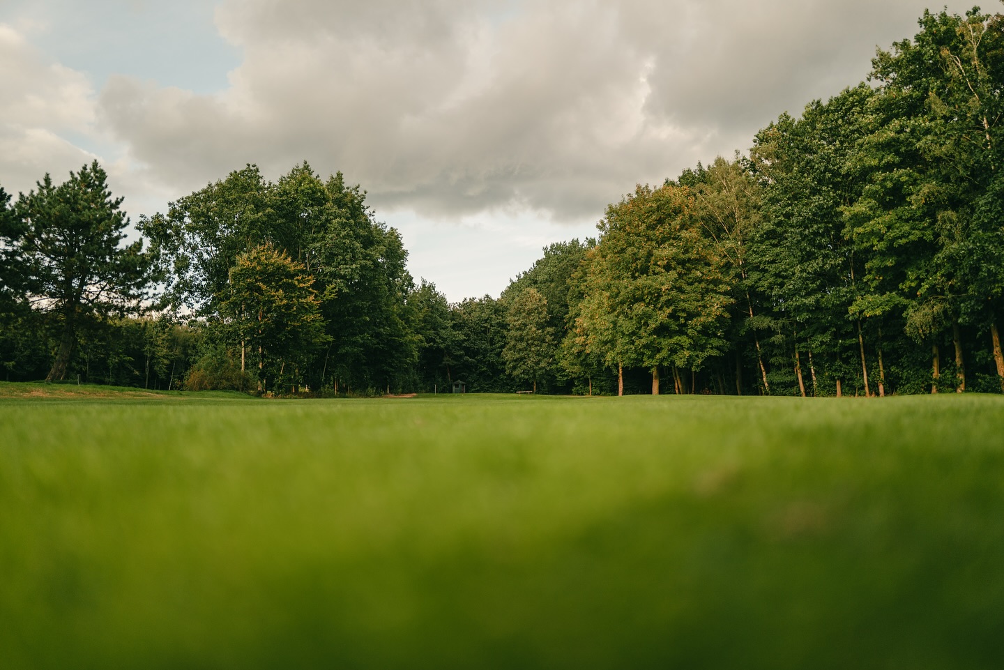 Impressionen vom Golfplatz.
#golf #vechta #golfplatz #golfimnorden #golfphotography #golflife #golfdeutschland #golfcourse #golfclub #oldenburgermünsterland