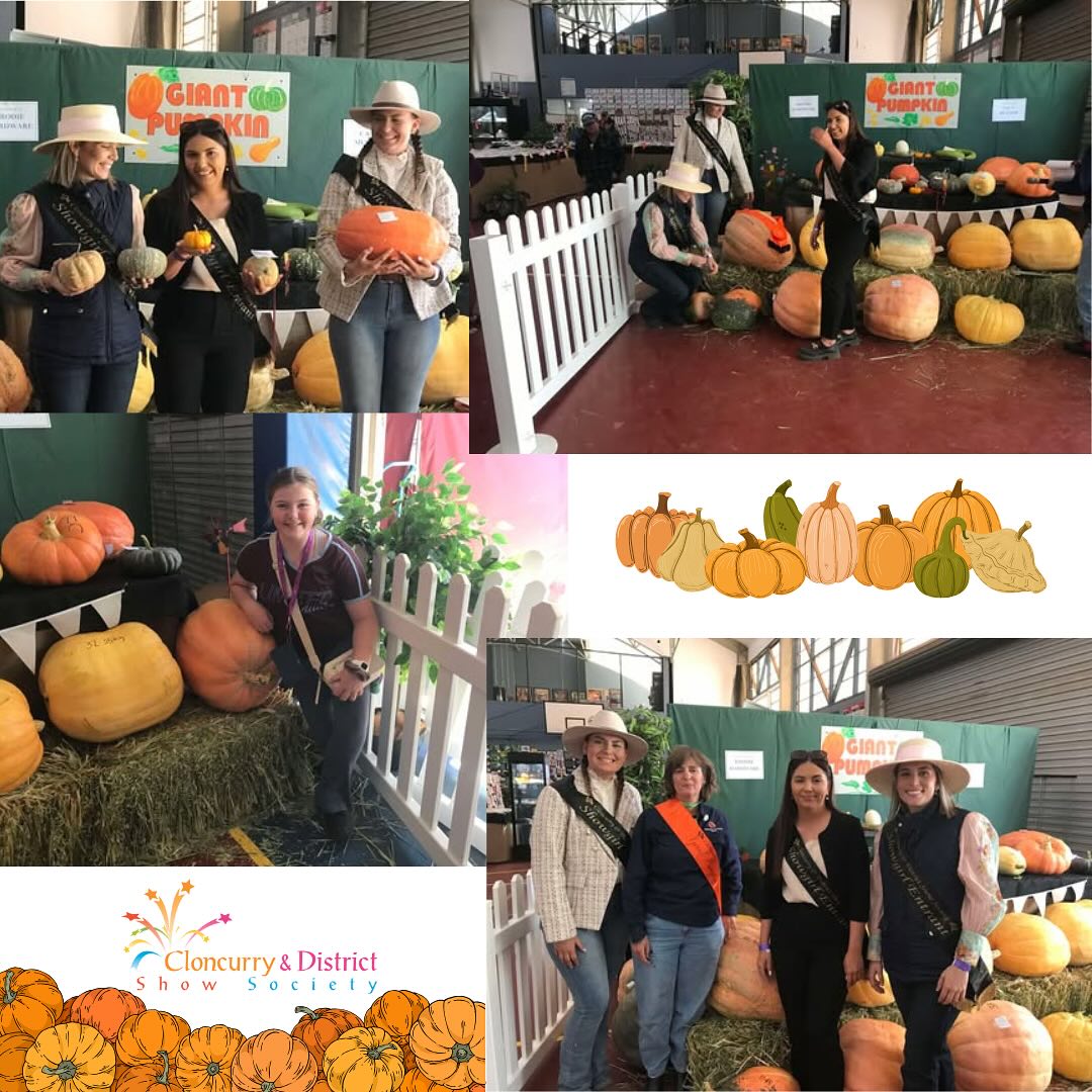 ๐ Gourd times at the Cloncurry & District Show!
Our pumpkin display is bursting with colour, creativity, and some seriously impressive veggies! From giant pumpkins to perfectly shaped prize-winners โ youโve got to see it to believe it! ๐๐
Come check it out and pick your favourite!
#cloncurryshow